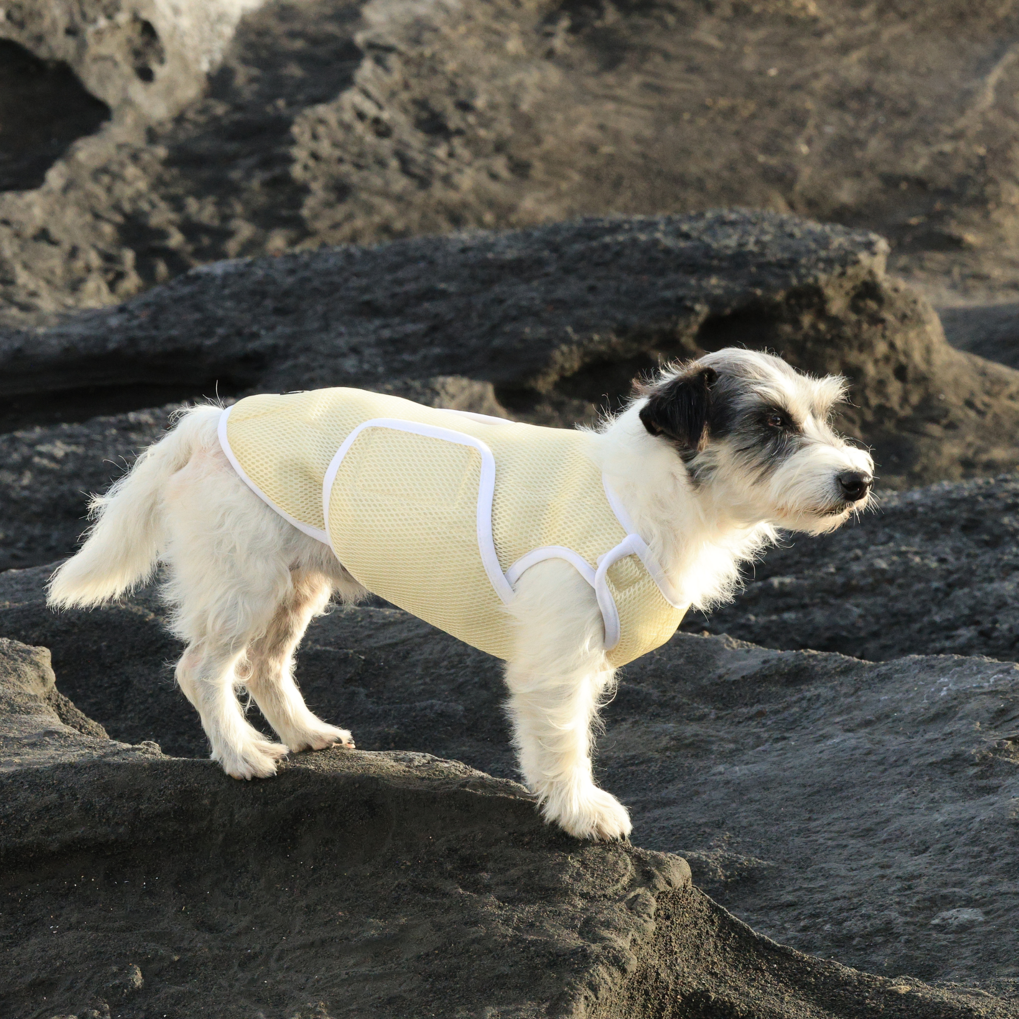 SUPER COOLING VEST スーパークーリングベスト DESERT