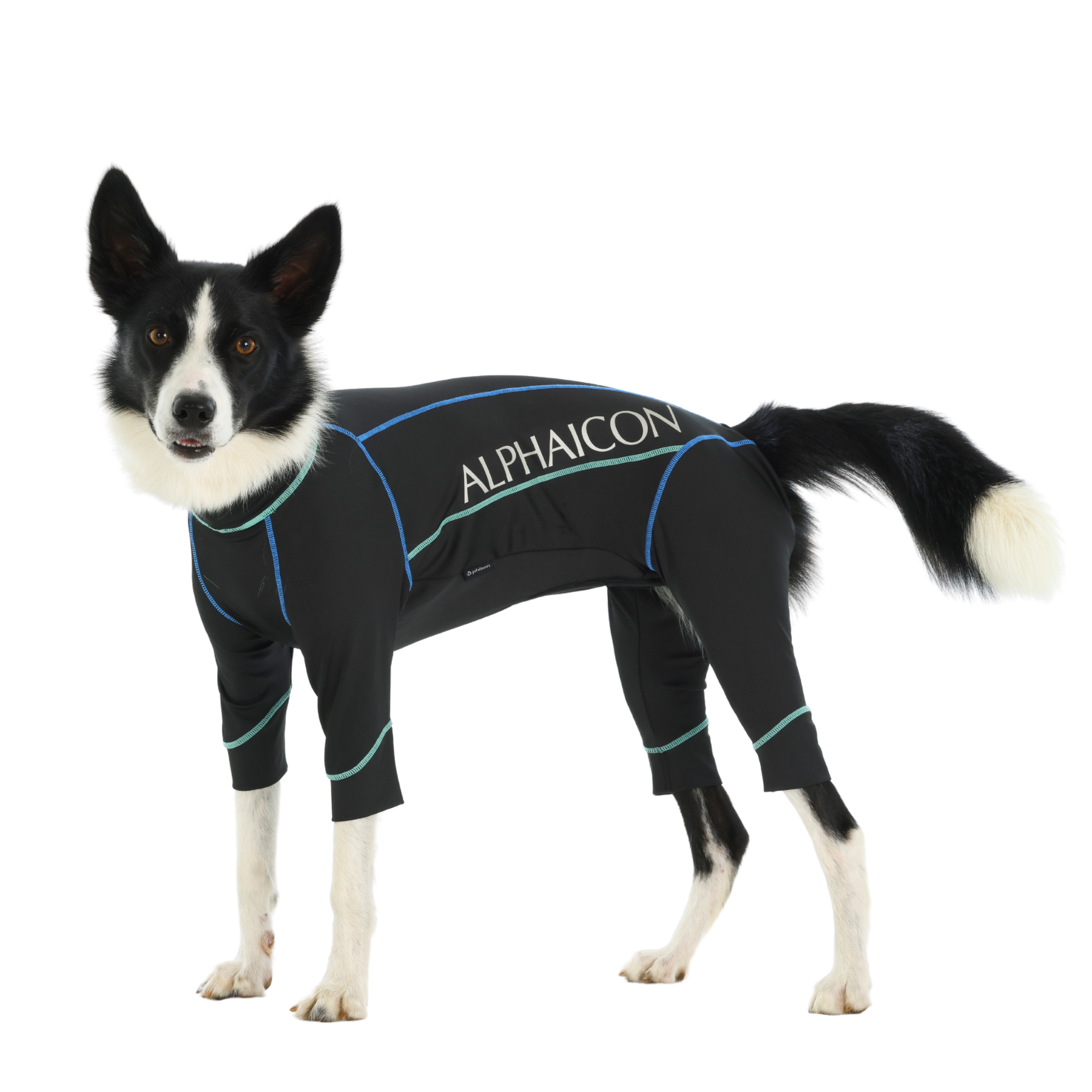 PHITEN DOGWEAR ファイテンドッグウェア