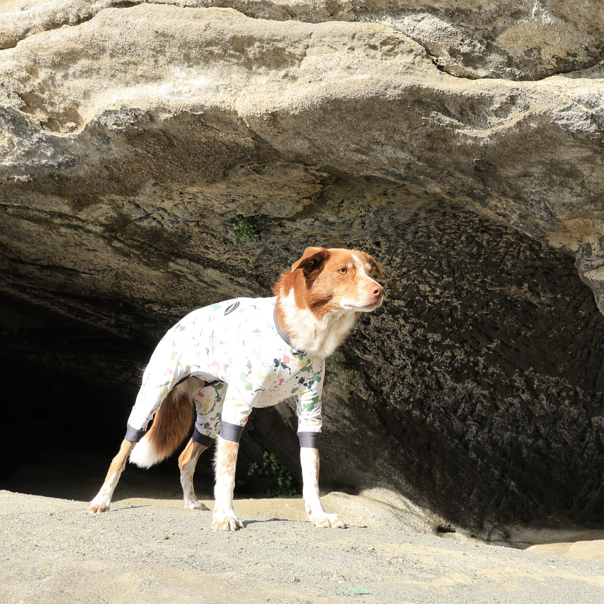 FULL DOG GUARD フルドッグガード VINTAGE MIST