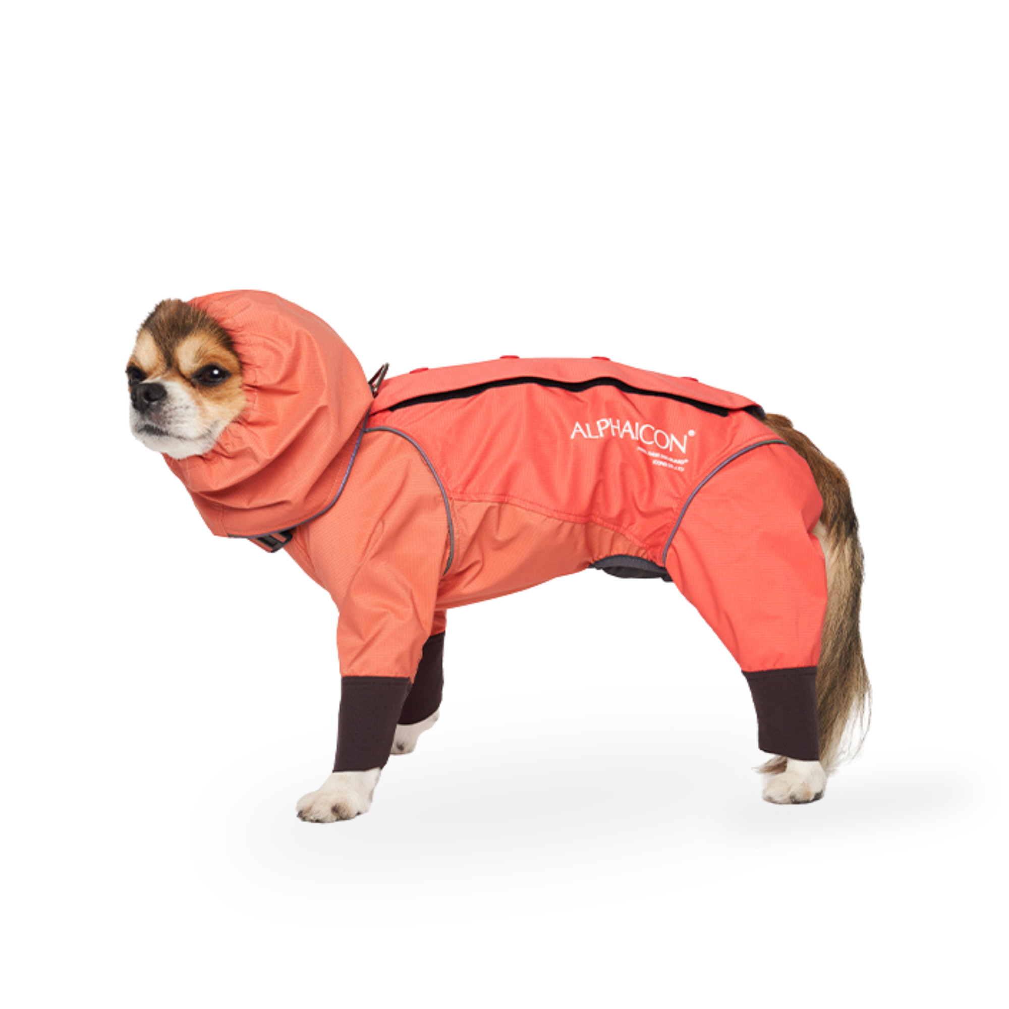RAIN DOG GUARD レインドッグガード RUBY 2023年モデル