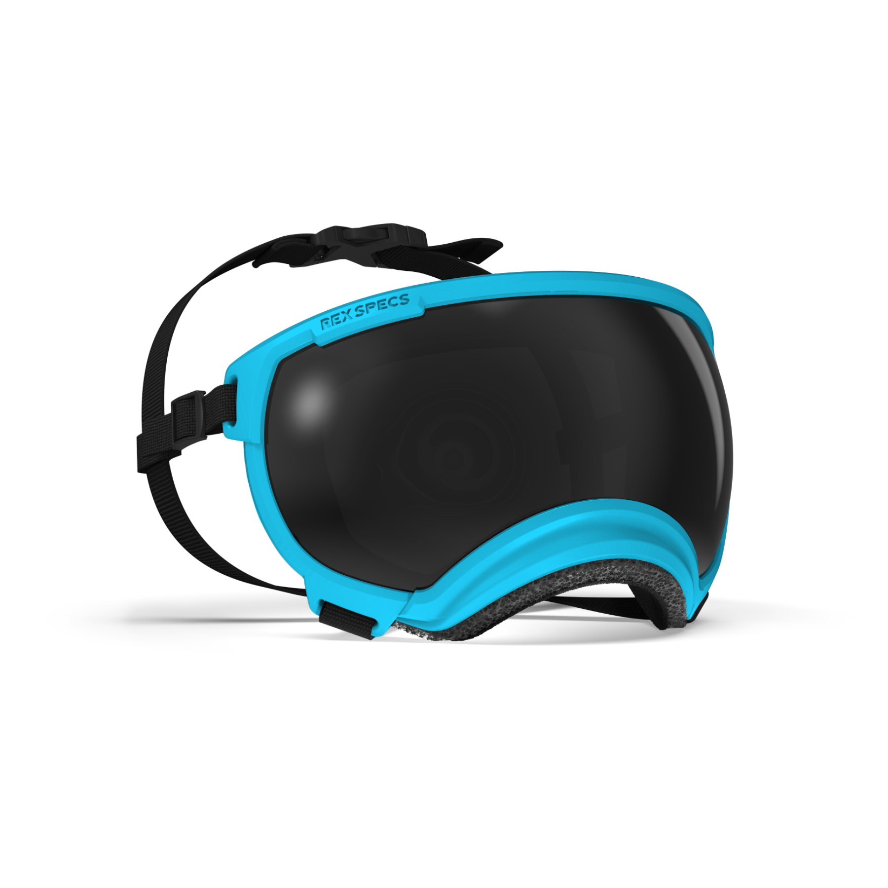 REXSPECS V2 ドッグゴーグル Big Horn Blue