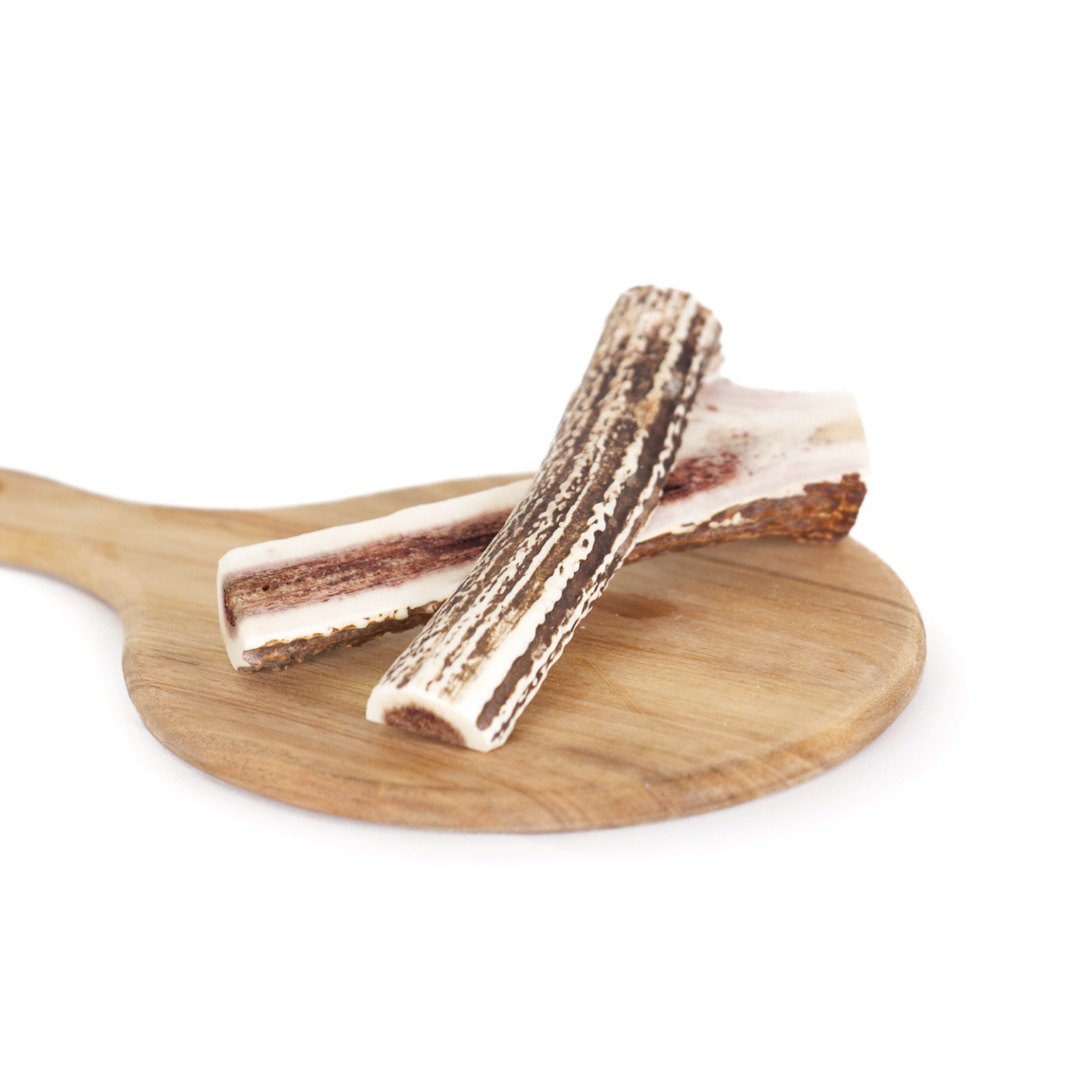Sika Deer Dental Care Horn