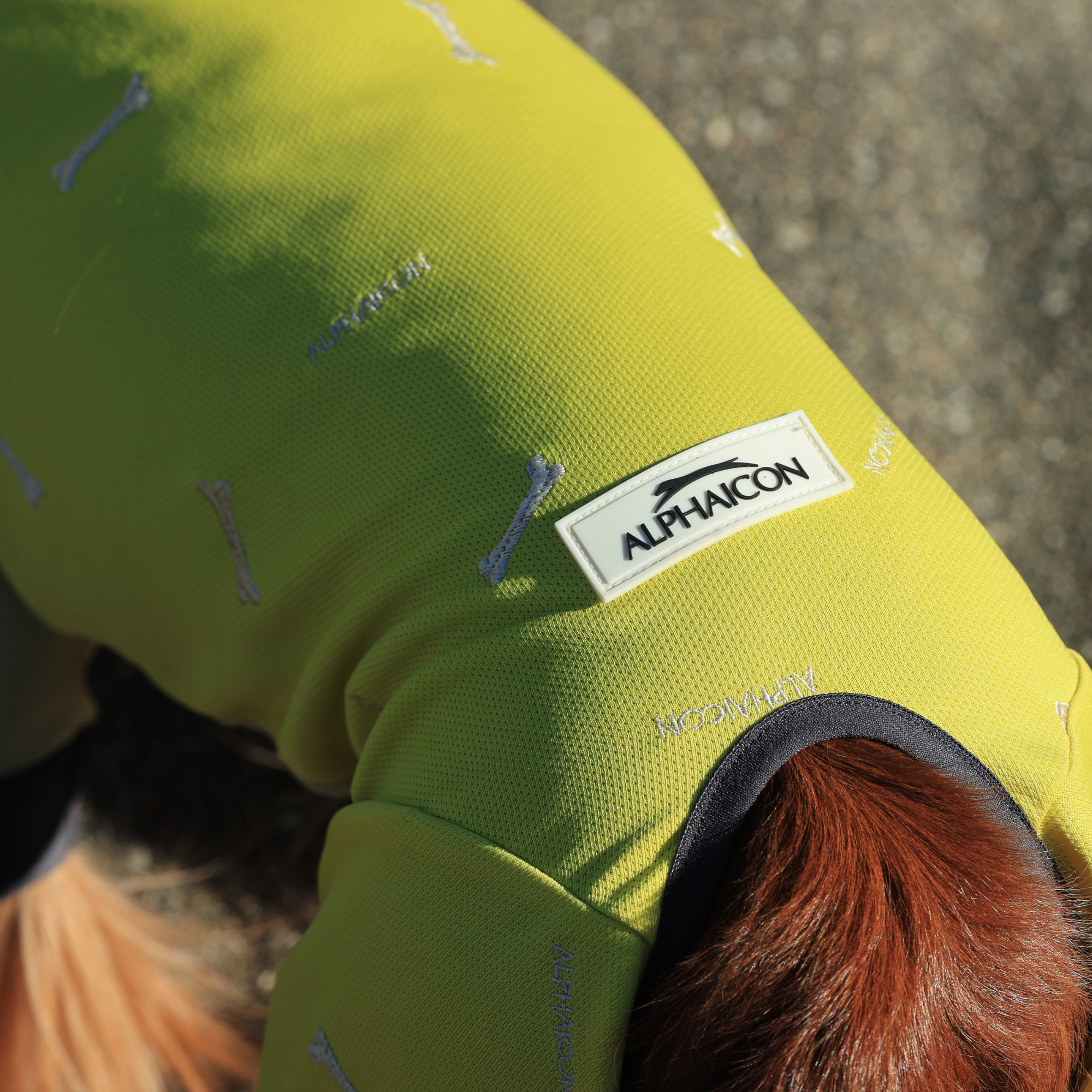 DOG GUARD COOL ドッグガードクール BANANA