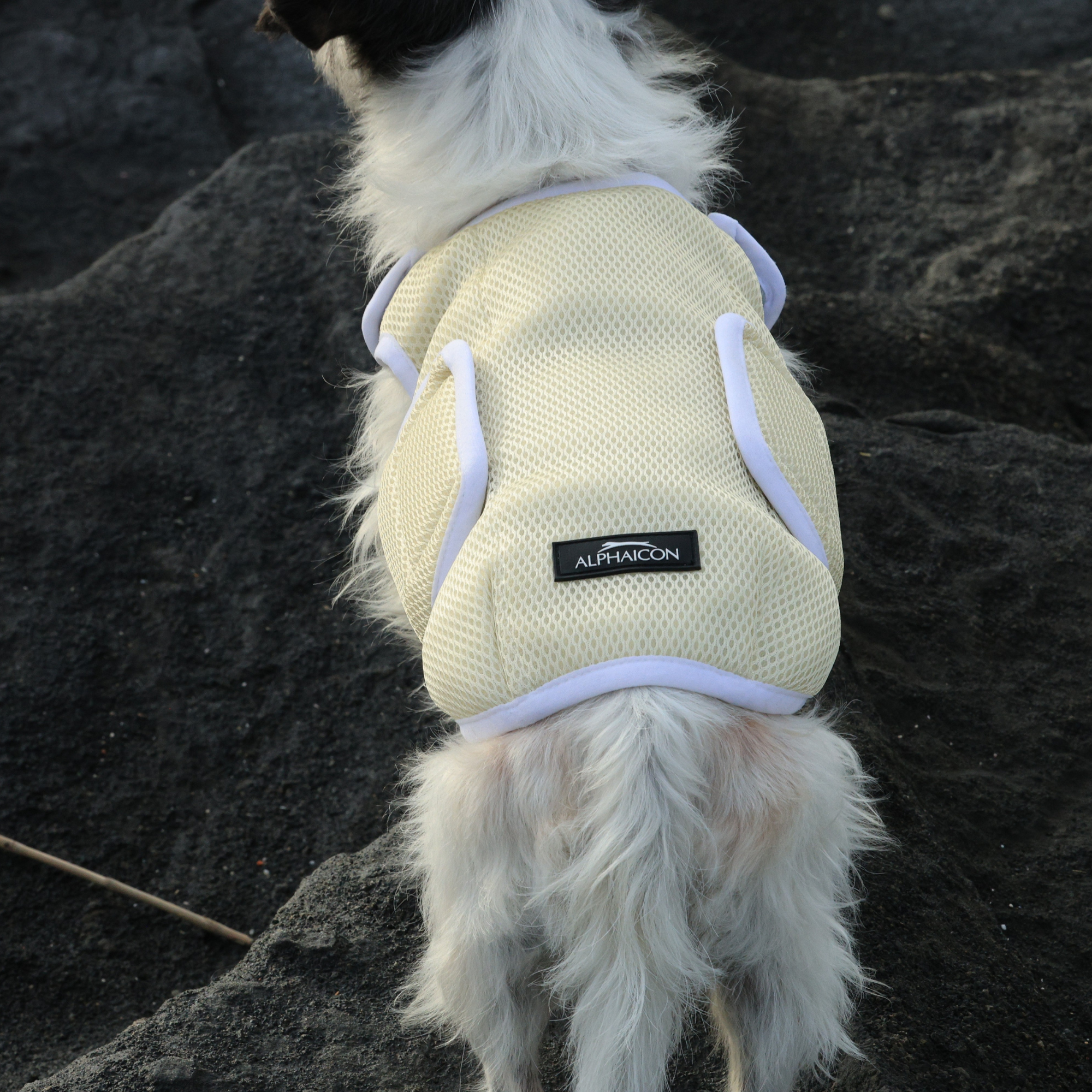 SUPER COOLING VEST スーパークーリングベスト DESERT