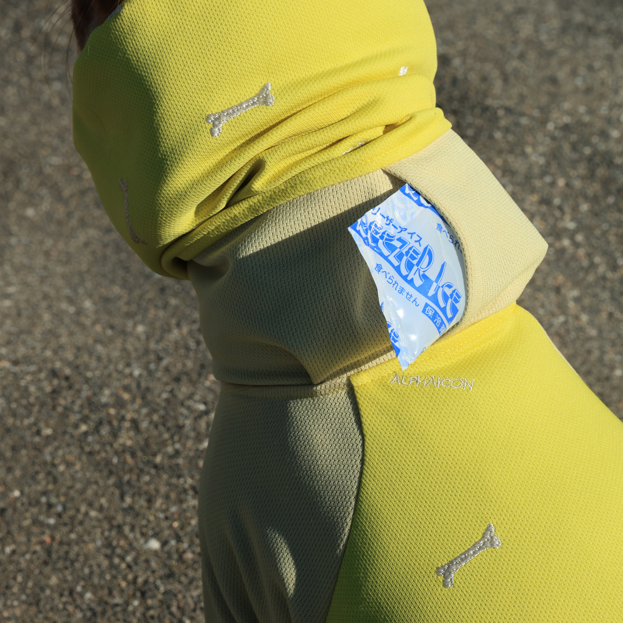 DOG GUARD COOL ドッグガードクール BANANA