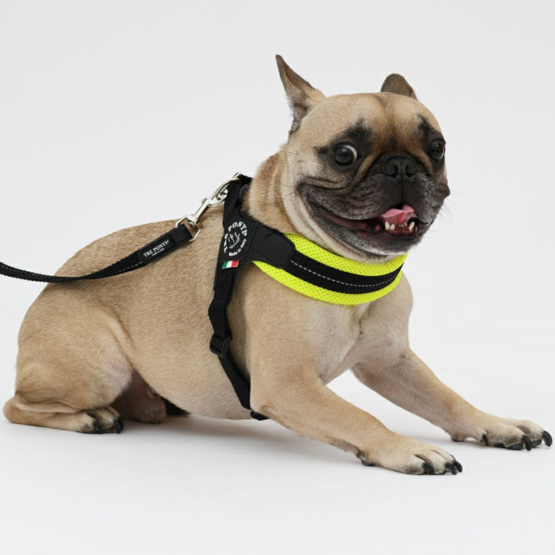 Treponti Fibbia Soft Mesh Adjustment Type Yellow