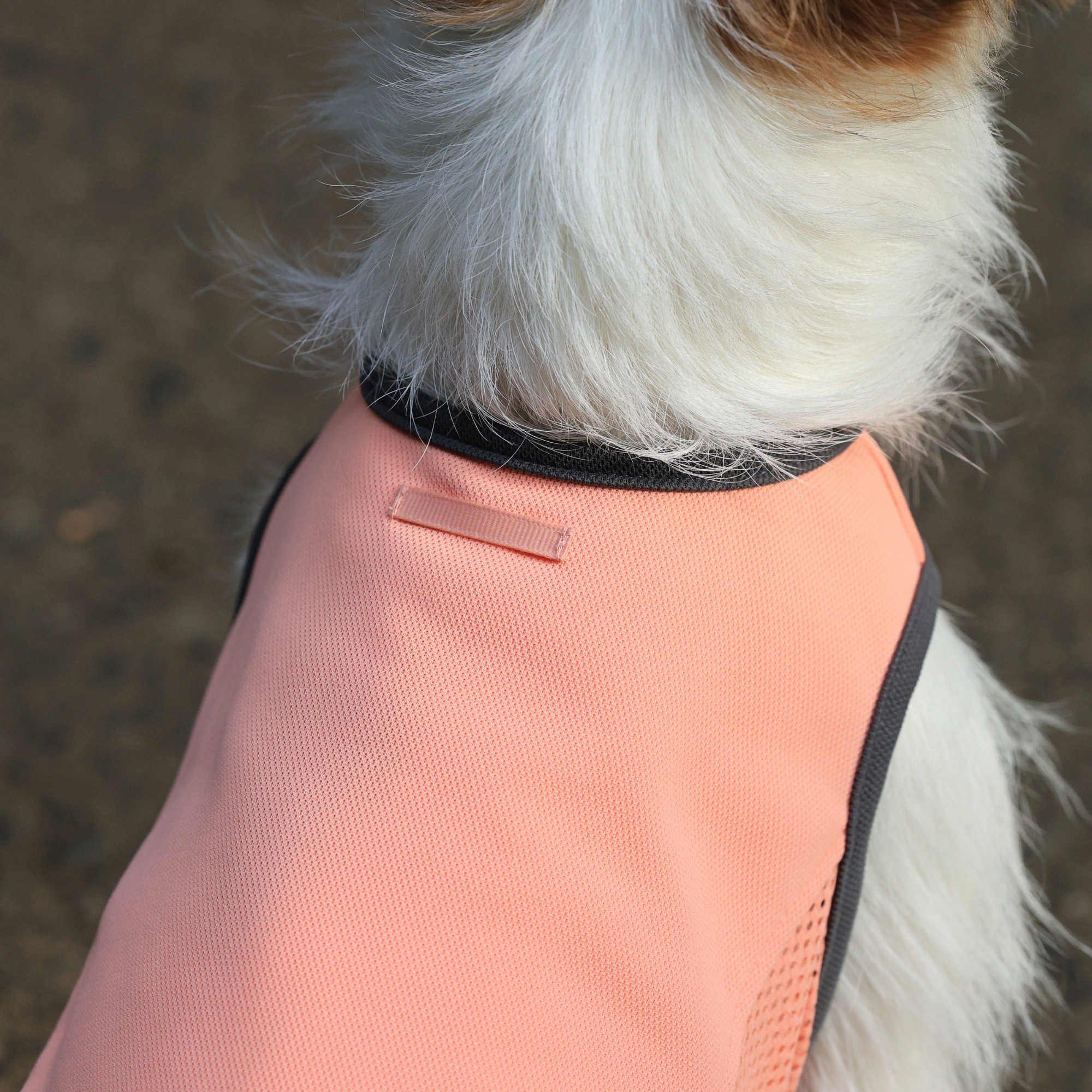 SUMMER COOLING TANKTOP サマークーリングタンクトップ MACARON