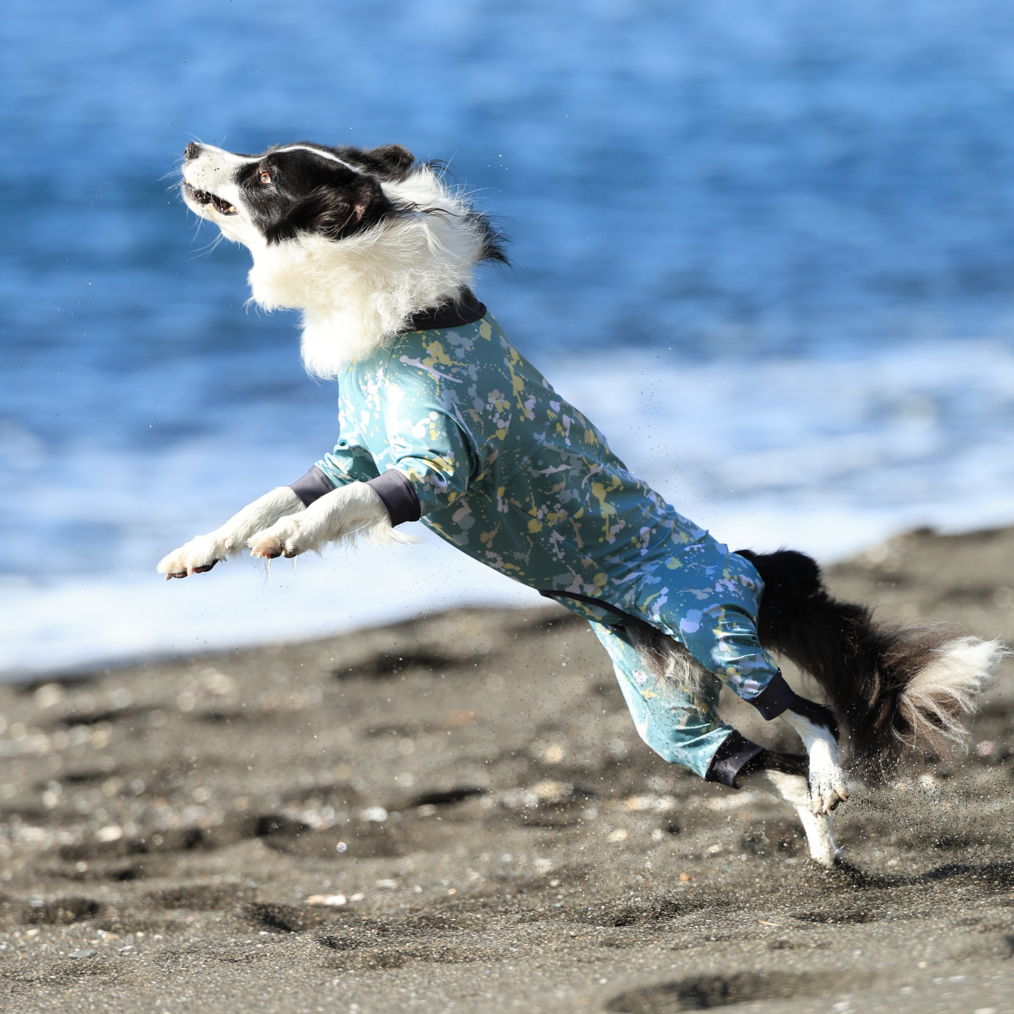FULL DOG GUARD フルドッグガード EMERALD MIST