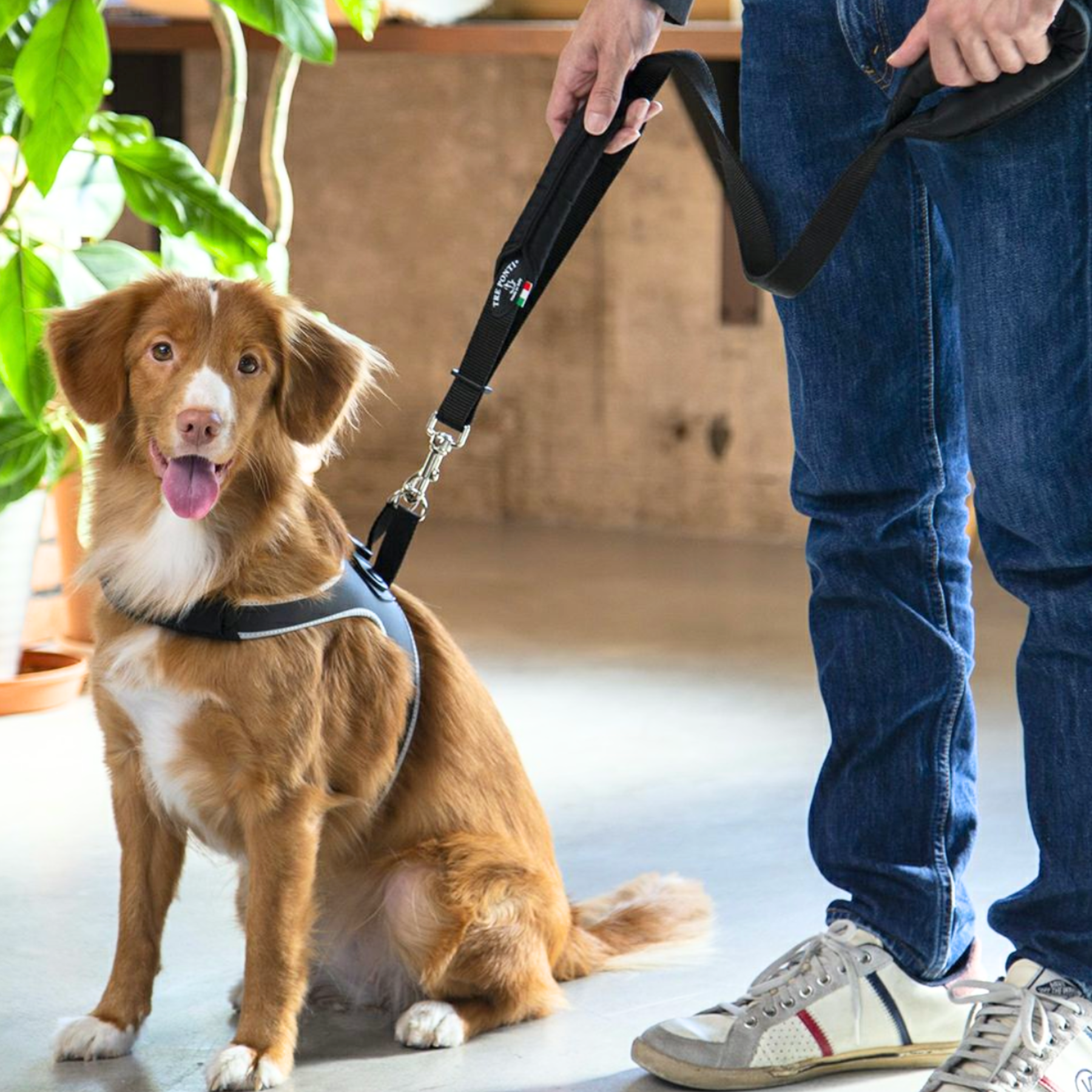 Treponti Double Safety Handle Leash Red