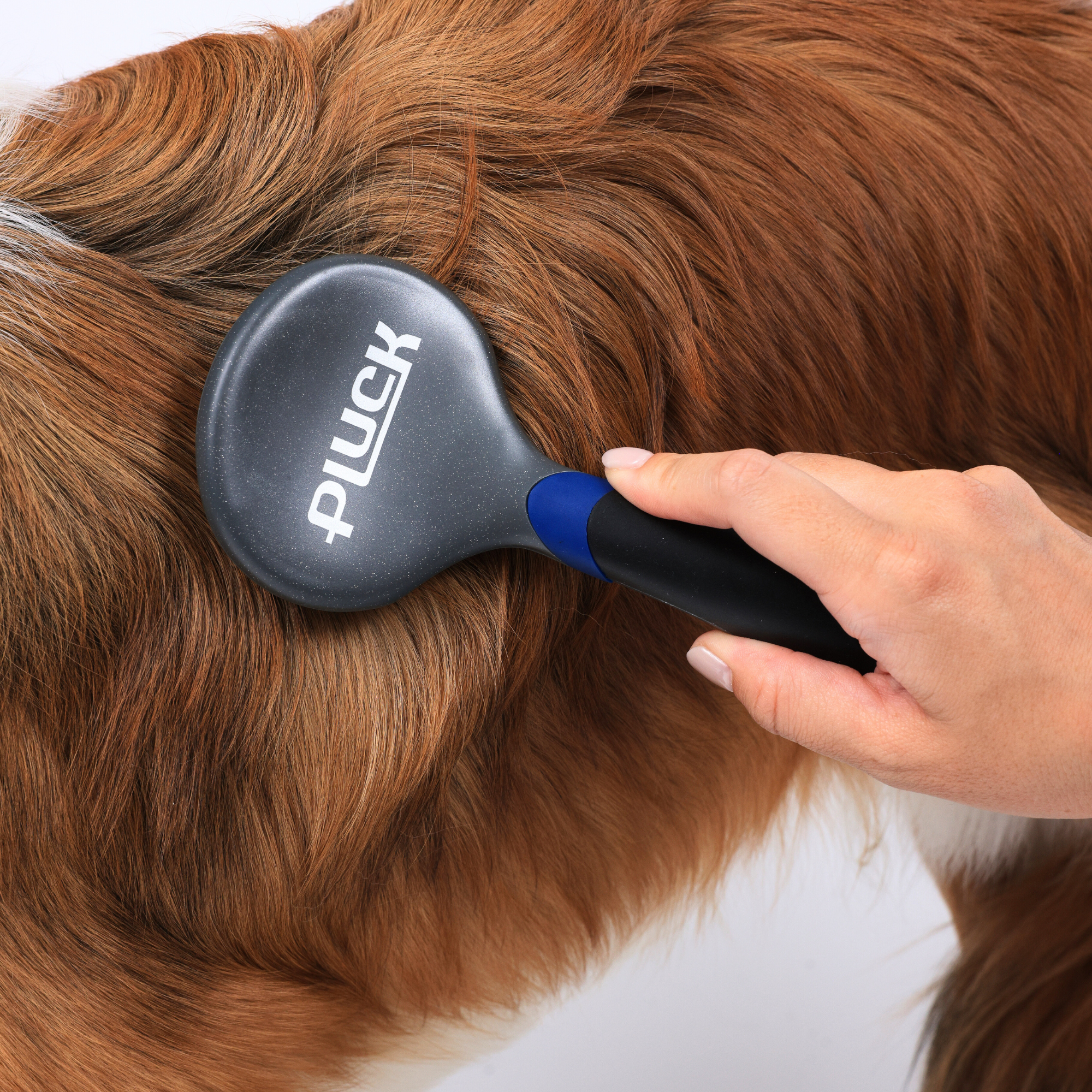 PLUCK COMPACK hard pin slicker brush