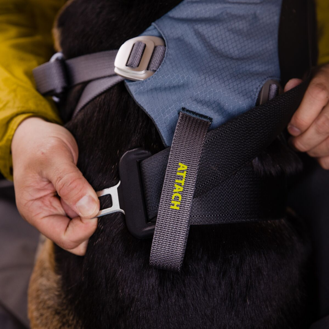 RUFFWEAR Load Up Harness SLBL Slate Blue