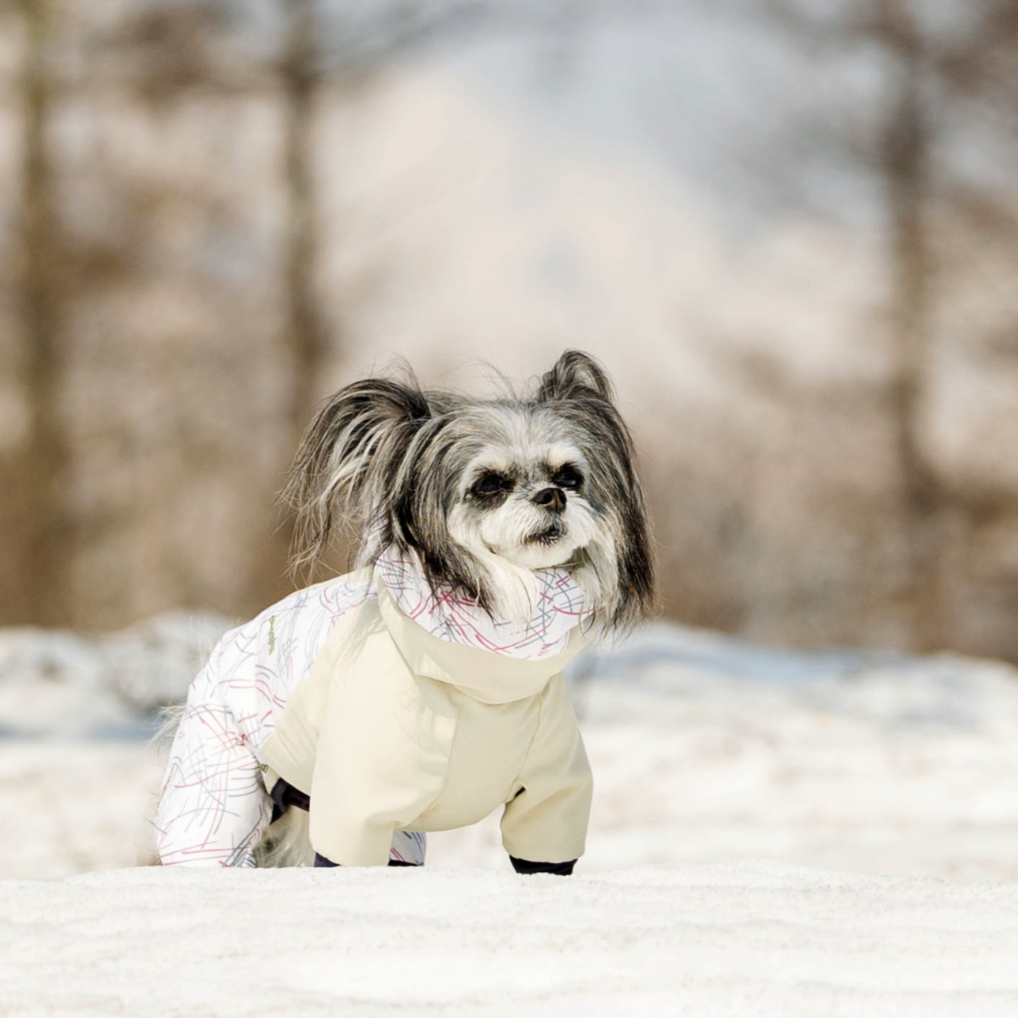 【新商品情報】 DOG GUARD®︎ AIR