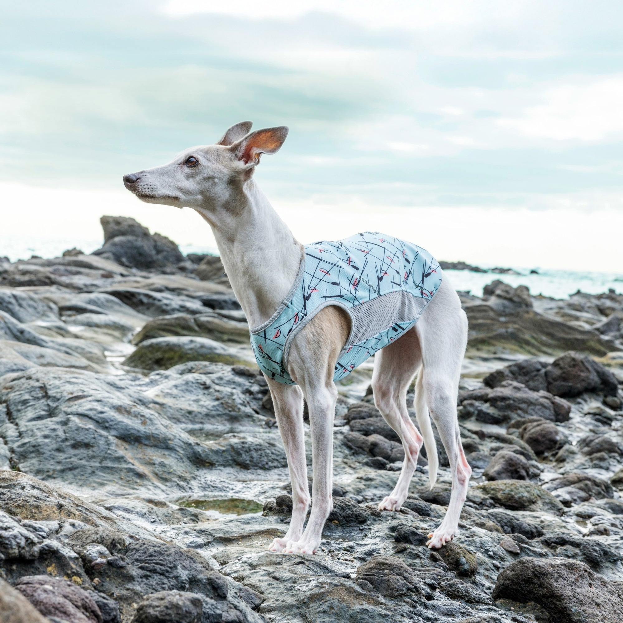 【新商品情報】SUMMER COOLING TANKTOP/COOL SNOOD 2026年モデル3/21発売