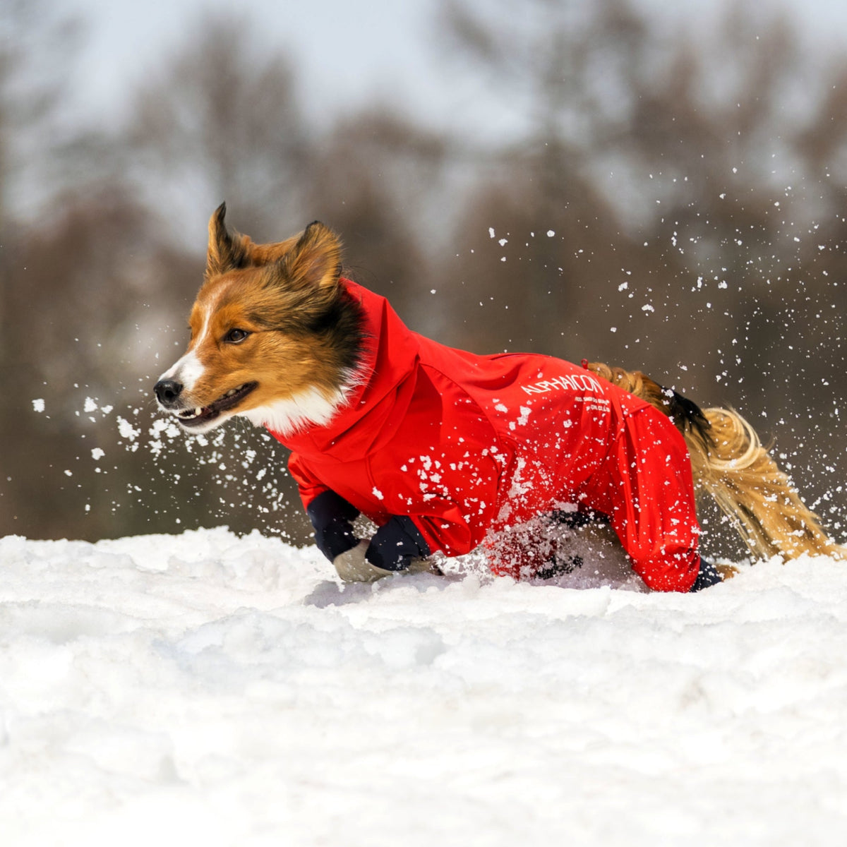 新商品情報】SNOW DOG GUARD®︎