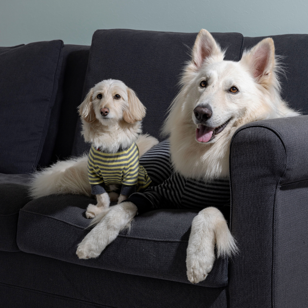 4L ALPHAICON O-Pajama おパジャマ 室内着 O-Pajama おパジャマ COTTON