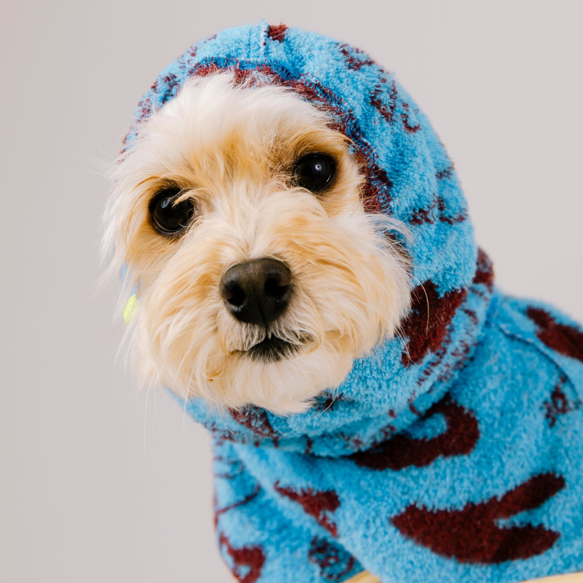 【Limited Edition】DOGGY ROBE & DOGGY TOTE 7/4発売