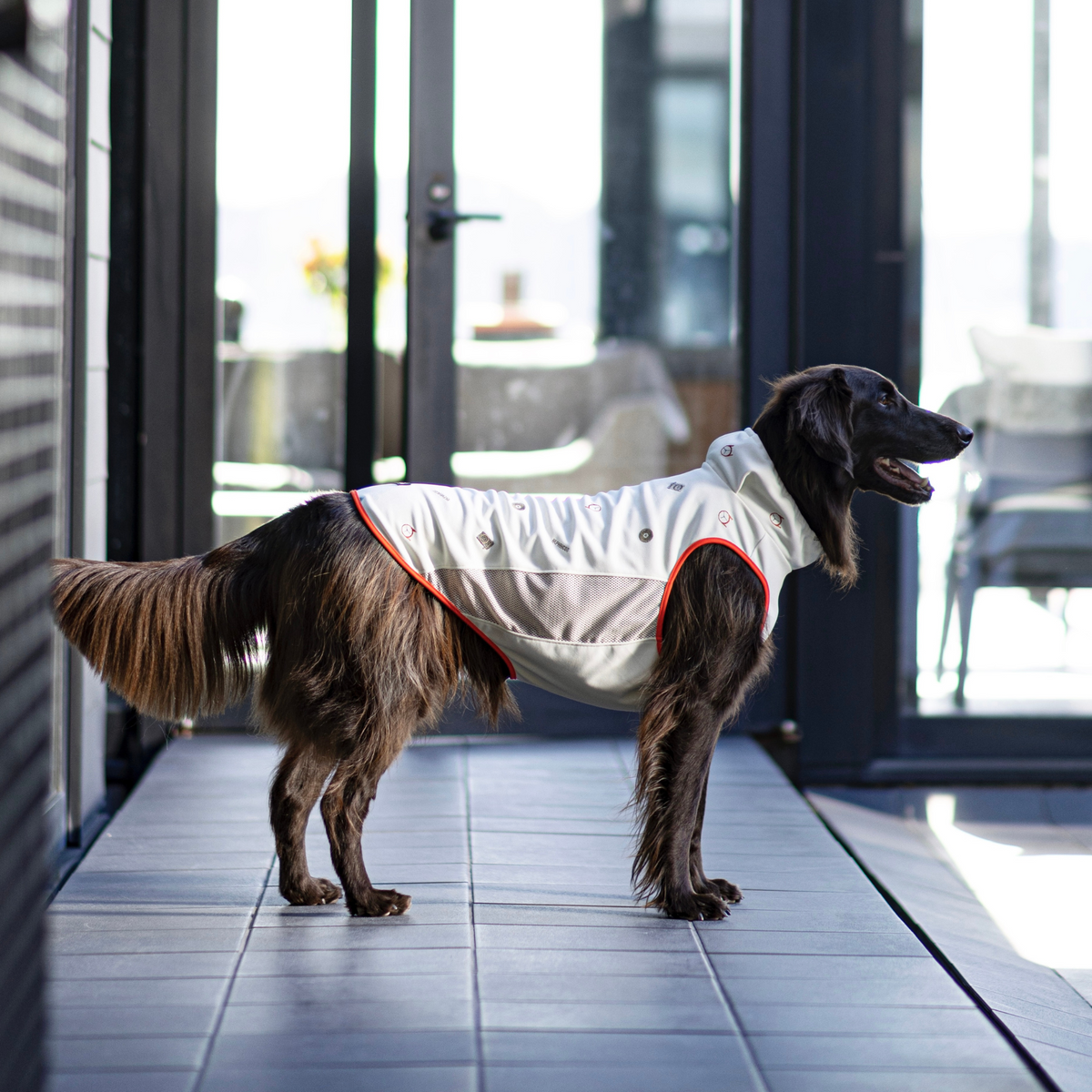 犬服・アクセサリー alphaicon summer cooling neck 1L 1_3b9e756e-424a-4915-ad6b-