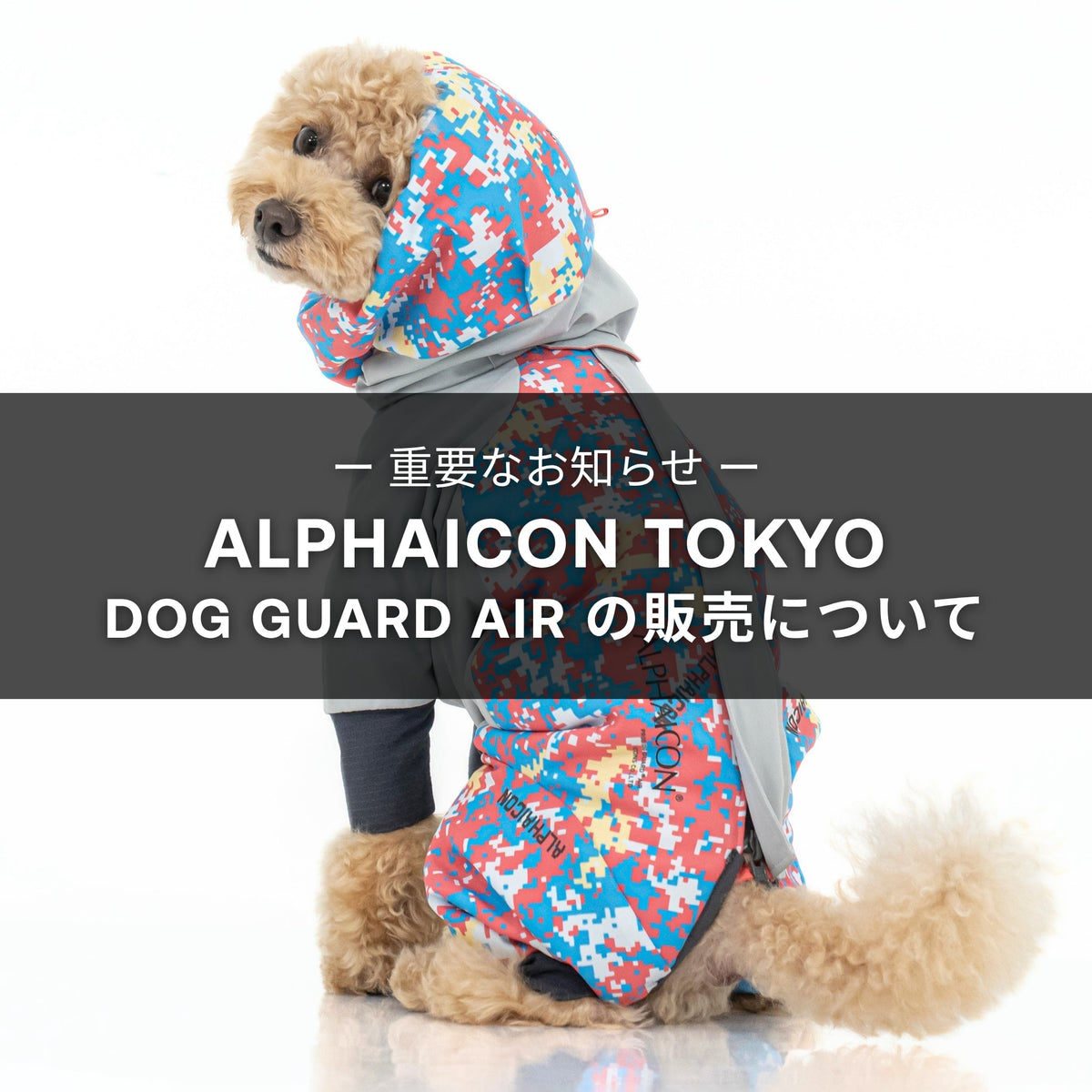 【ALPHAICON TOKYO】DOG GUARD AIR 販売方法変更のお知らせ