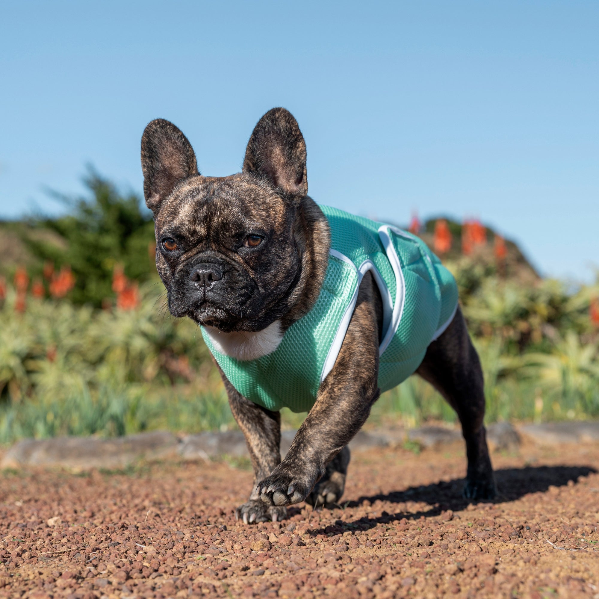 【新商品情報】SUPER COOLING VEST 2026年モデル4/25発売