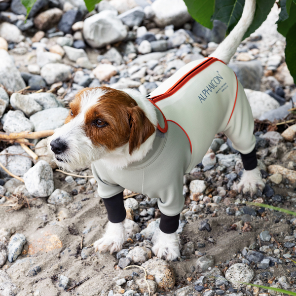 [New product information] W.FULL DOG GUARD released on 9/12