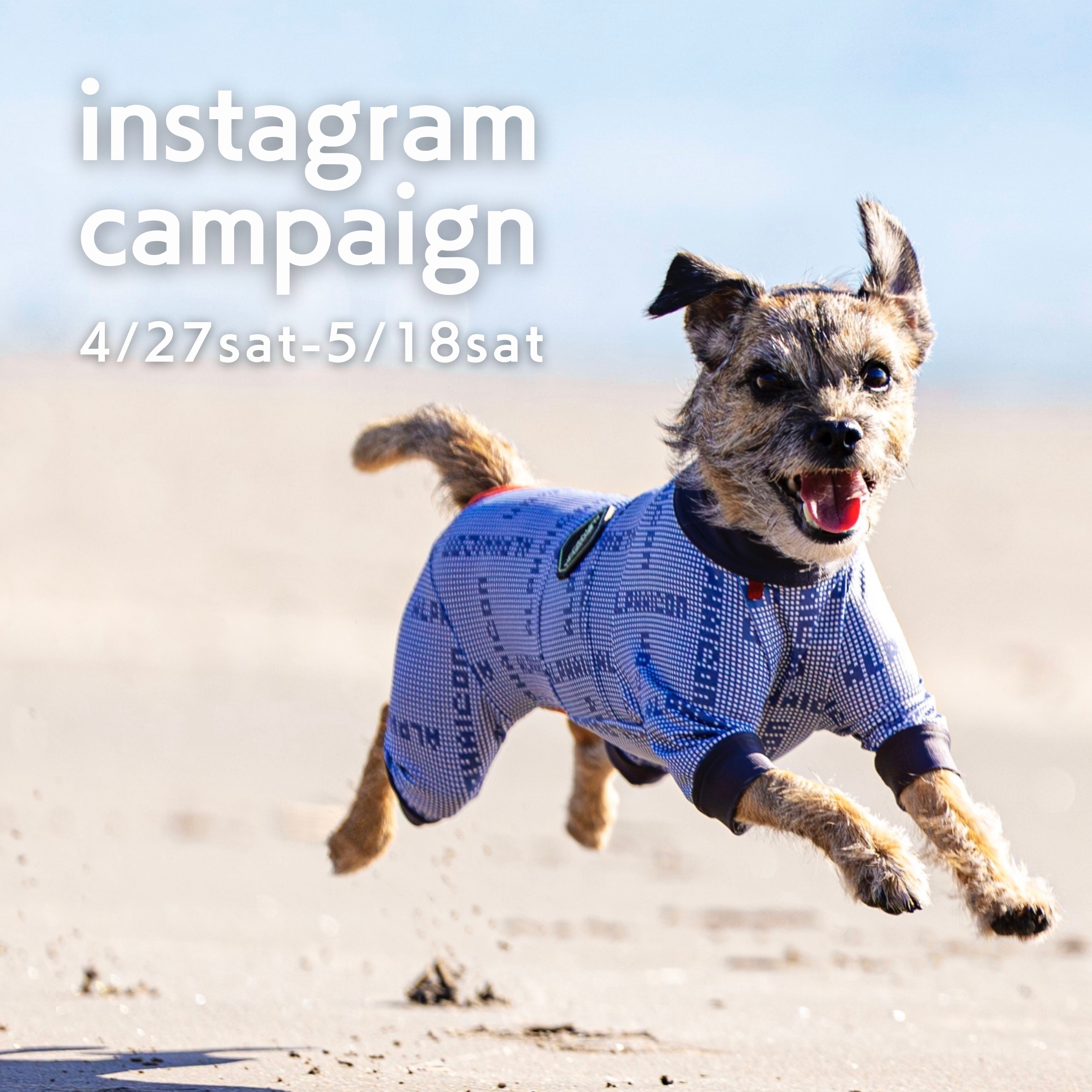 Instagram愛犬とおでかけキャンペーン開催