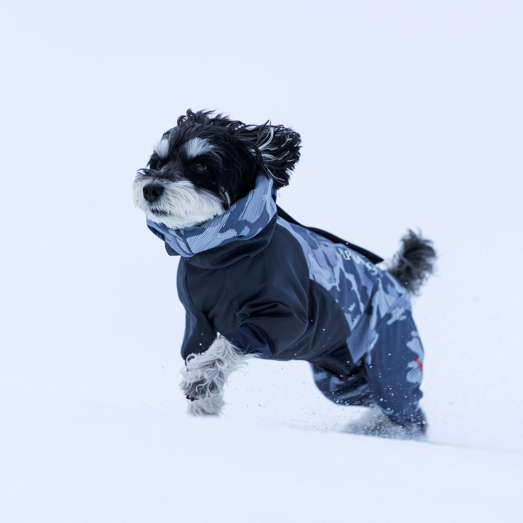 1_e27ad1a0-86e3-4fef-8f54-