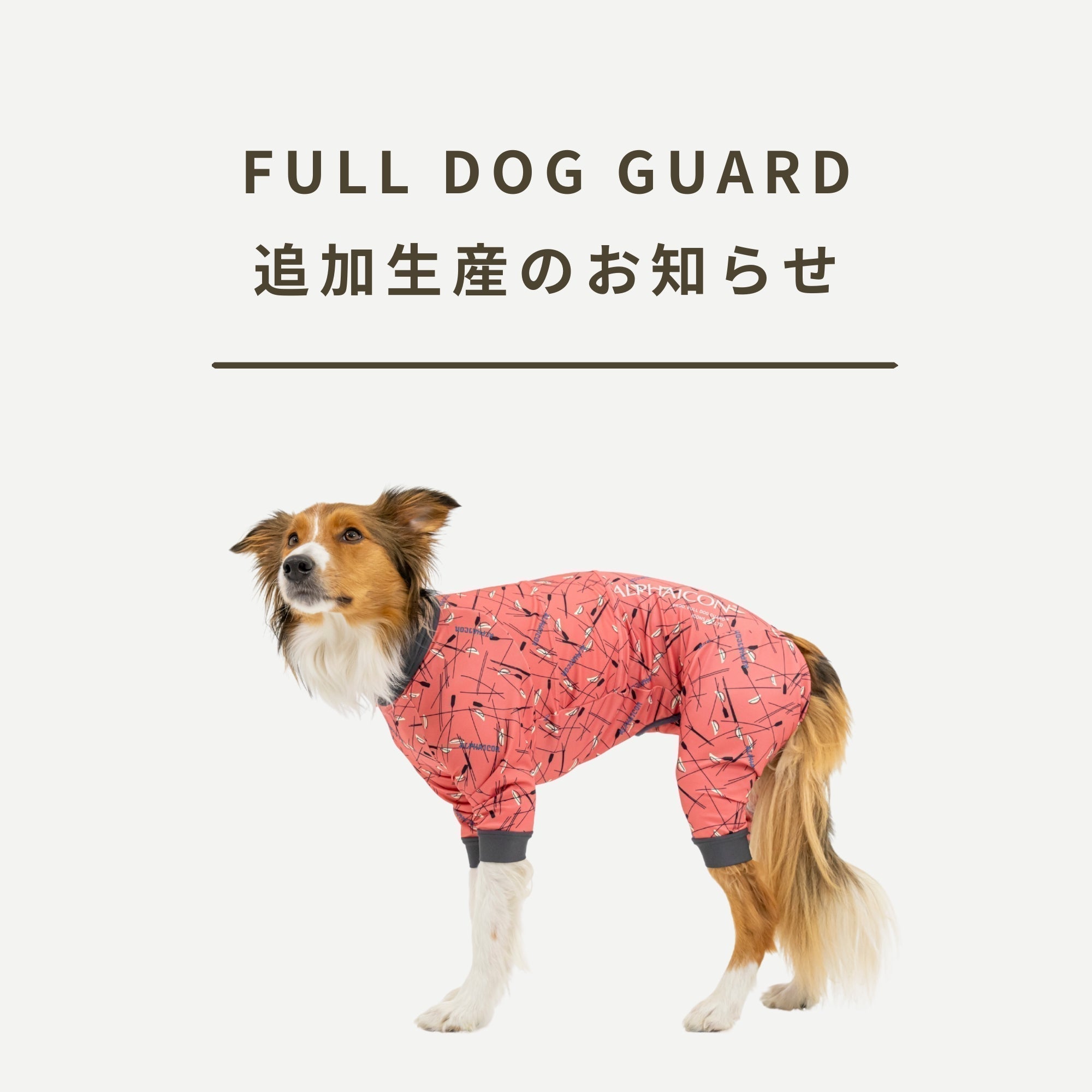 フルドッグガードの追加生産のお知らせ