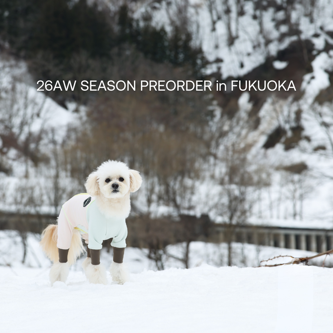ALPHAICON 26AW SEASON PREORDER in FUKUOKA