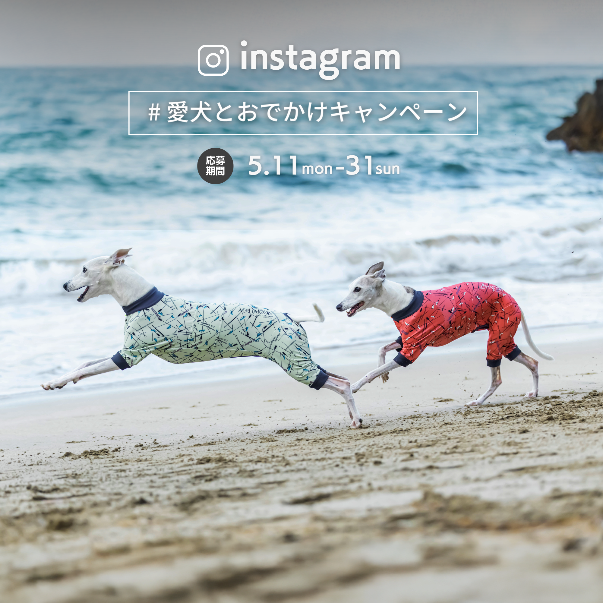 Instagram【愛犬とお出かけキャンペーン】開催