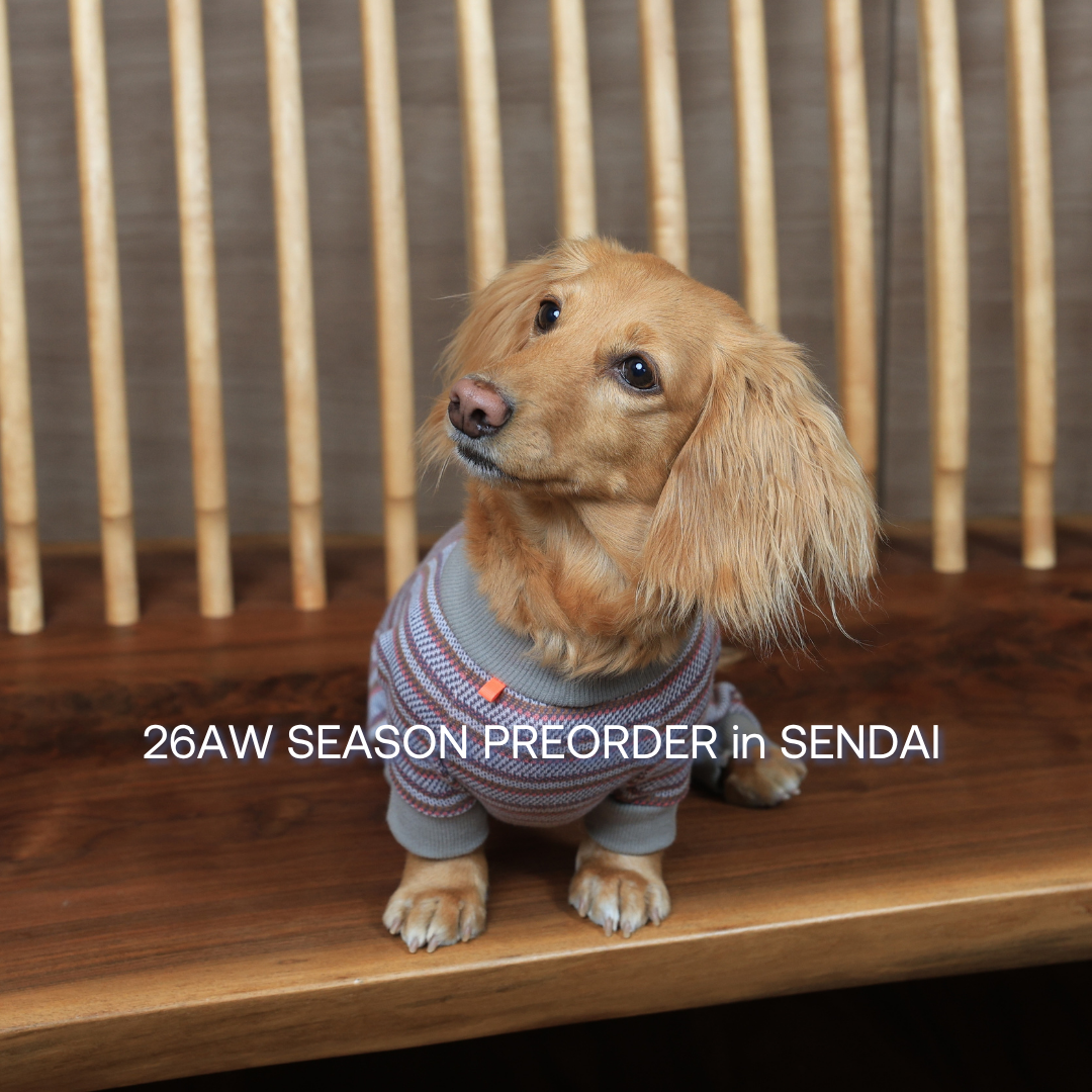 ALPHAICON 26AW SEASON PREORDER in SENDAI