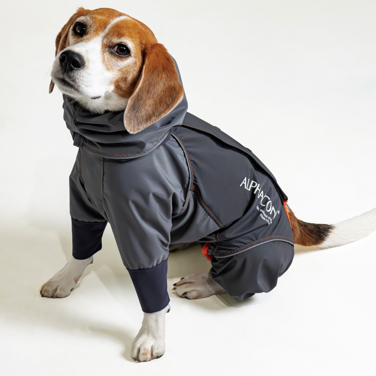 [New product information] RAIN DOG GUARD 2024 model released on 2/22