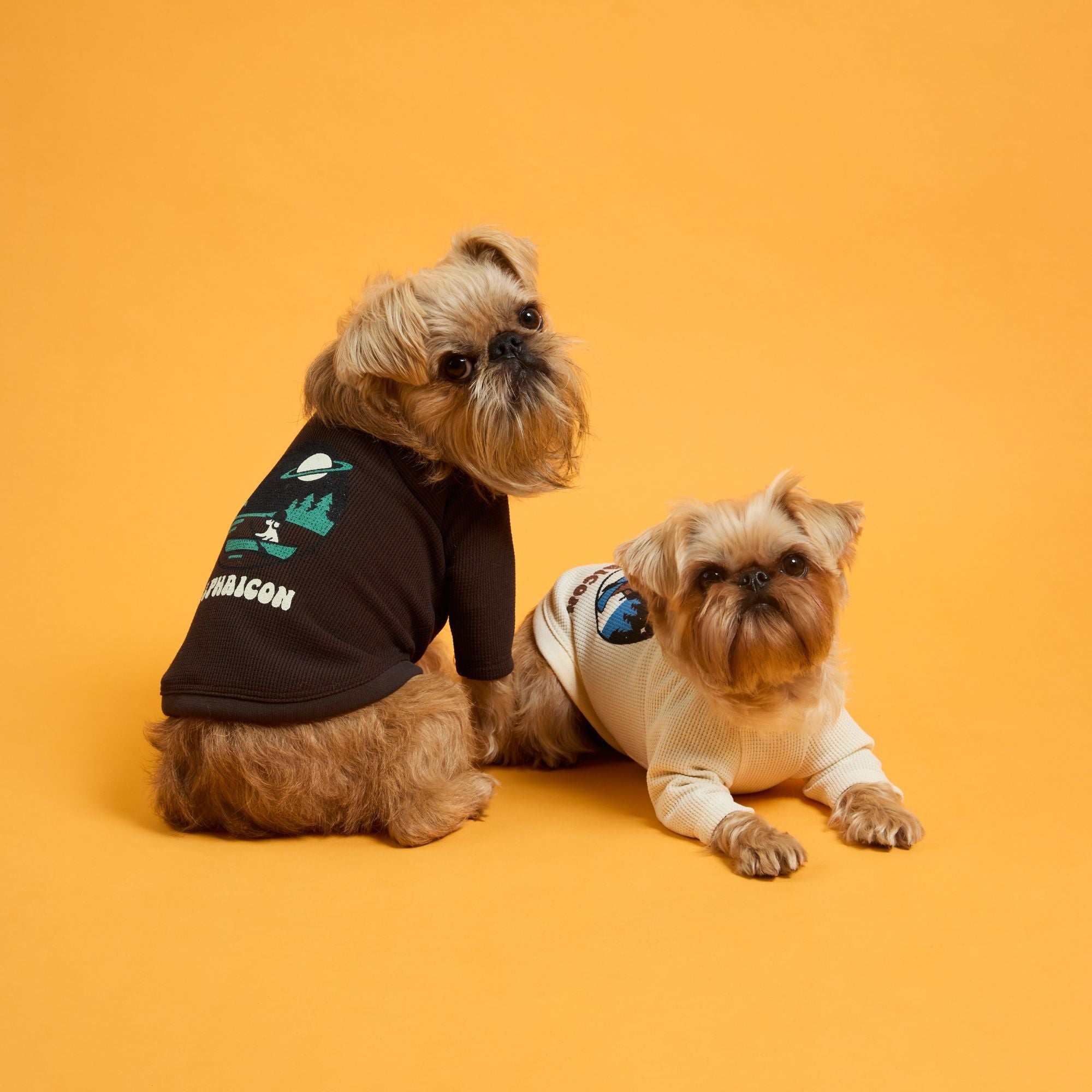 新商品情報】DRY KNIT TEE 2026年モデル2/21発売