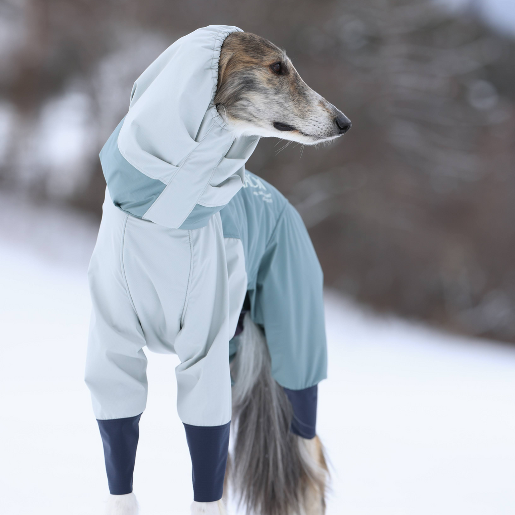 SNOW DOG GUARD スノードッグガード MINT