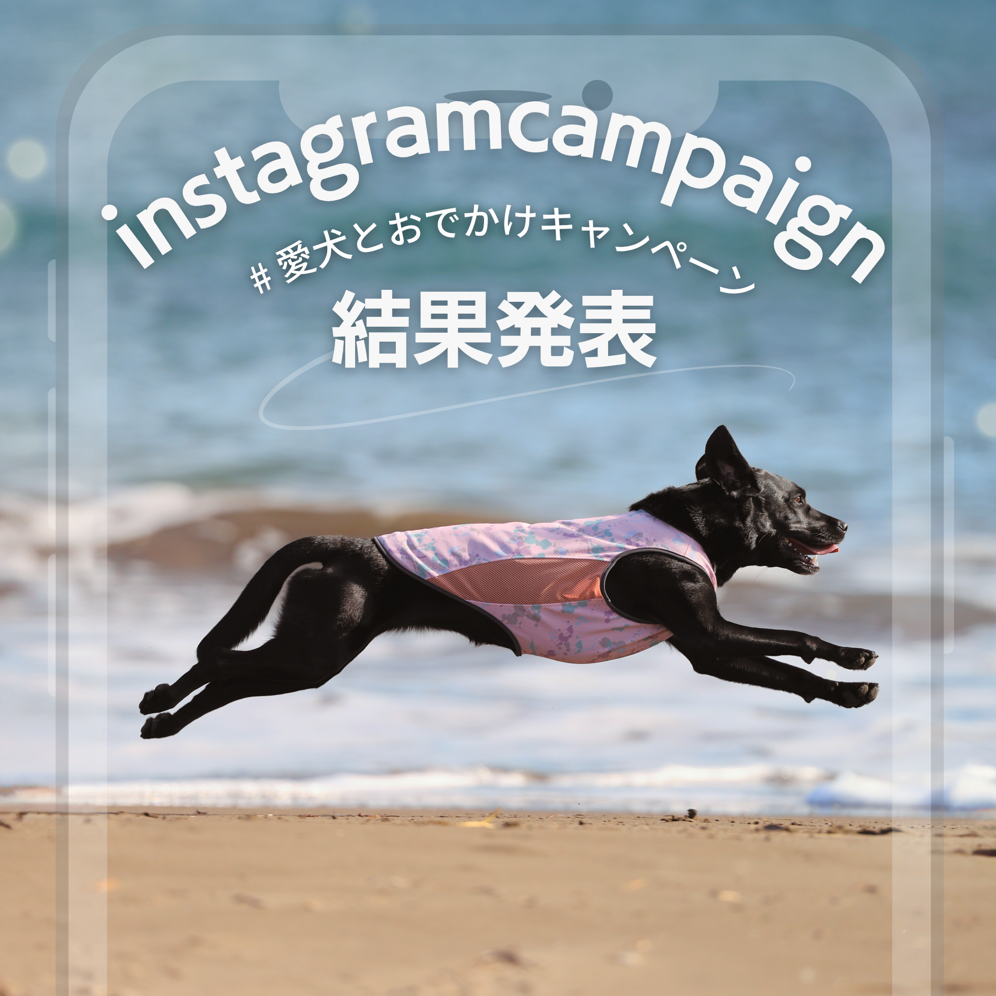 愛犬とおでかけキャンペーン結果発表