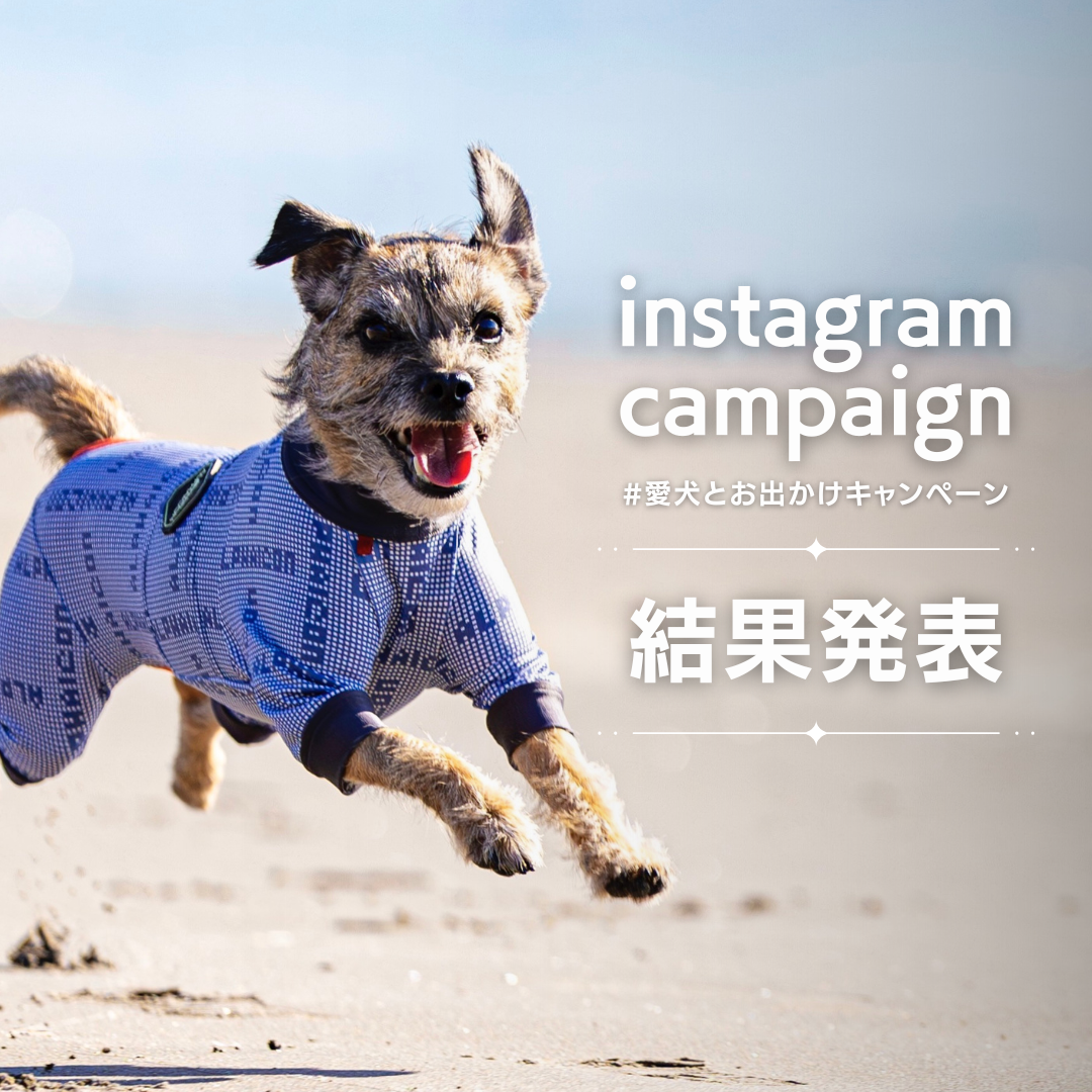 愛犬とおでかけキャンペーン結果発表