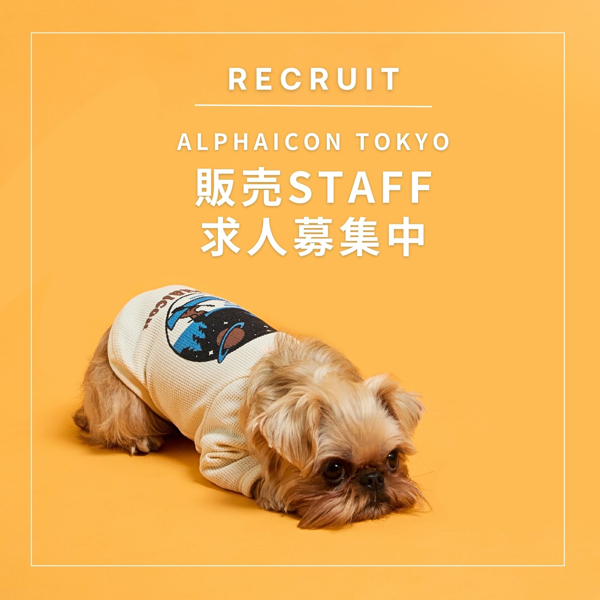 RECRUIT - ALPHAICON TOKYO