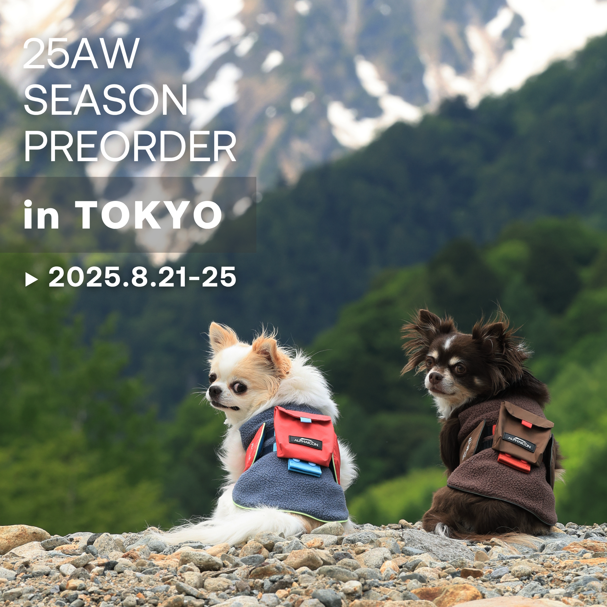 AUTUMN WINTER 2025 ALPHAICON TOKYO 試着予約販売会 開催のお知らせ