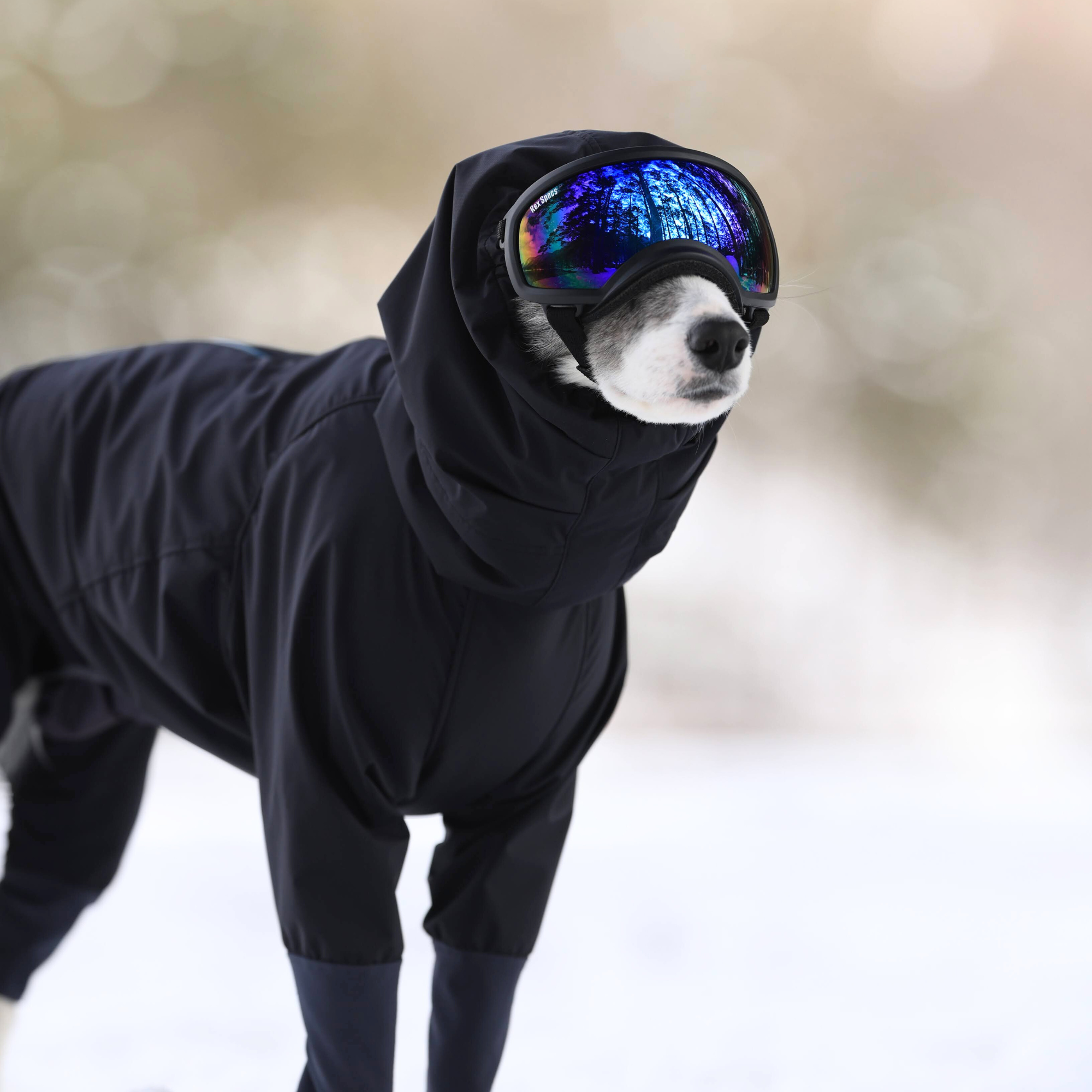 SNOW DOG GUARD　スノードッグガード　BLACK