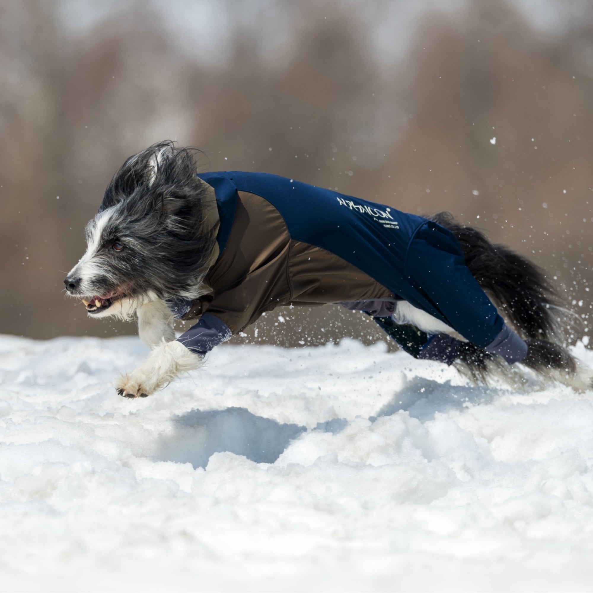 SNOW DOG GUARD RETRO SKI