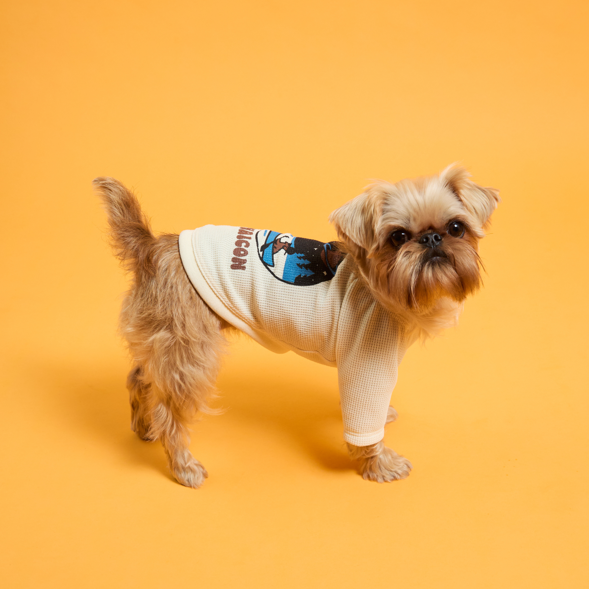 DRY  KNIT TEE　ドライニットティー　TIDE