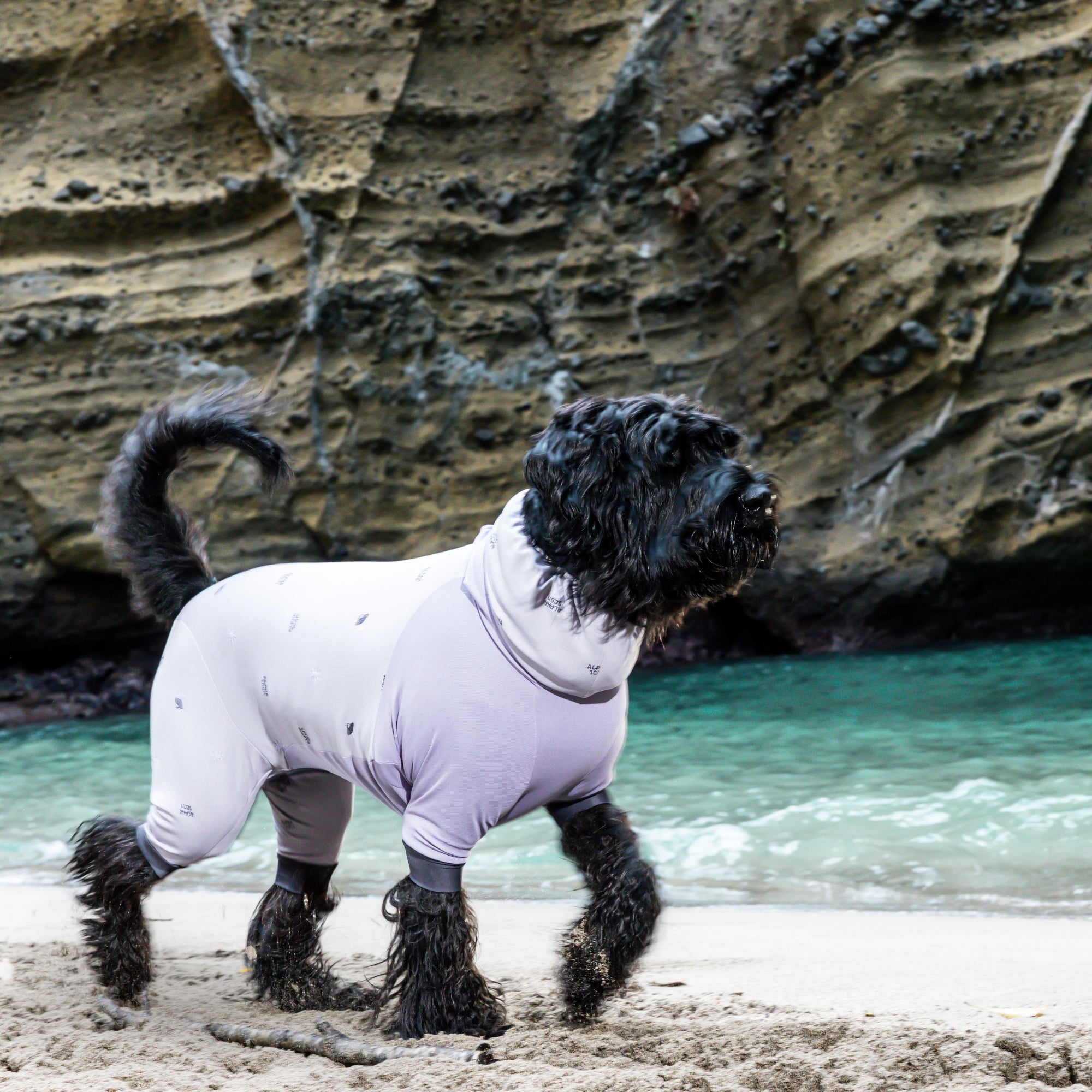 DOG GUARD COOL　ドッグガードクール　ORBIT