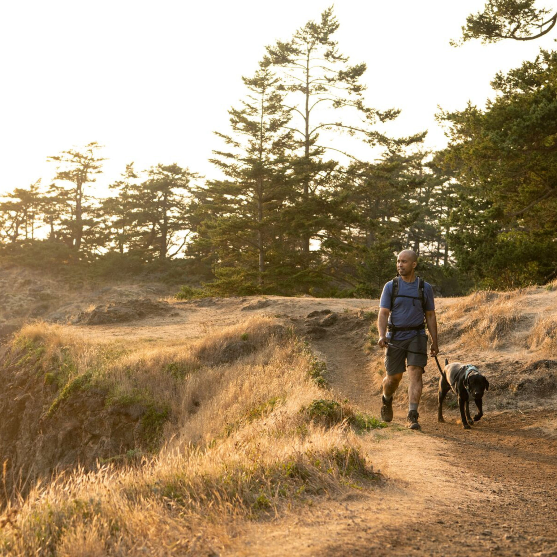 RUFFWEAR Front Range Harness RDCNY Red Canyon