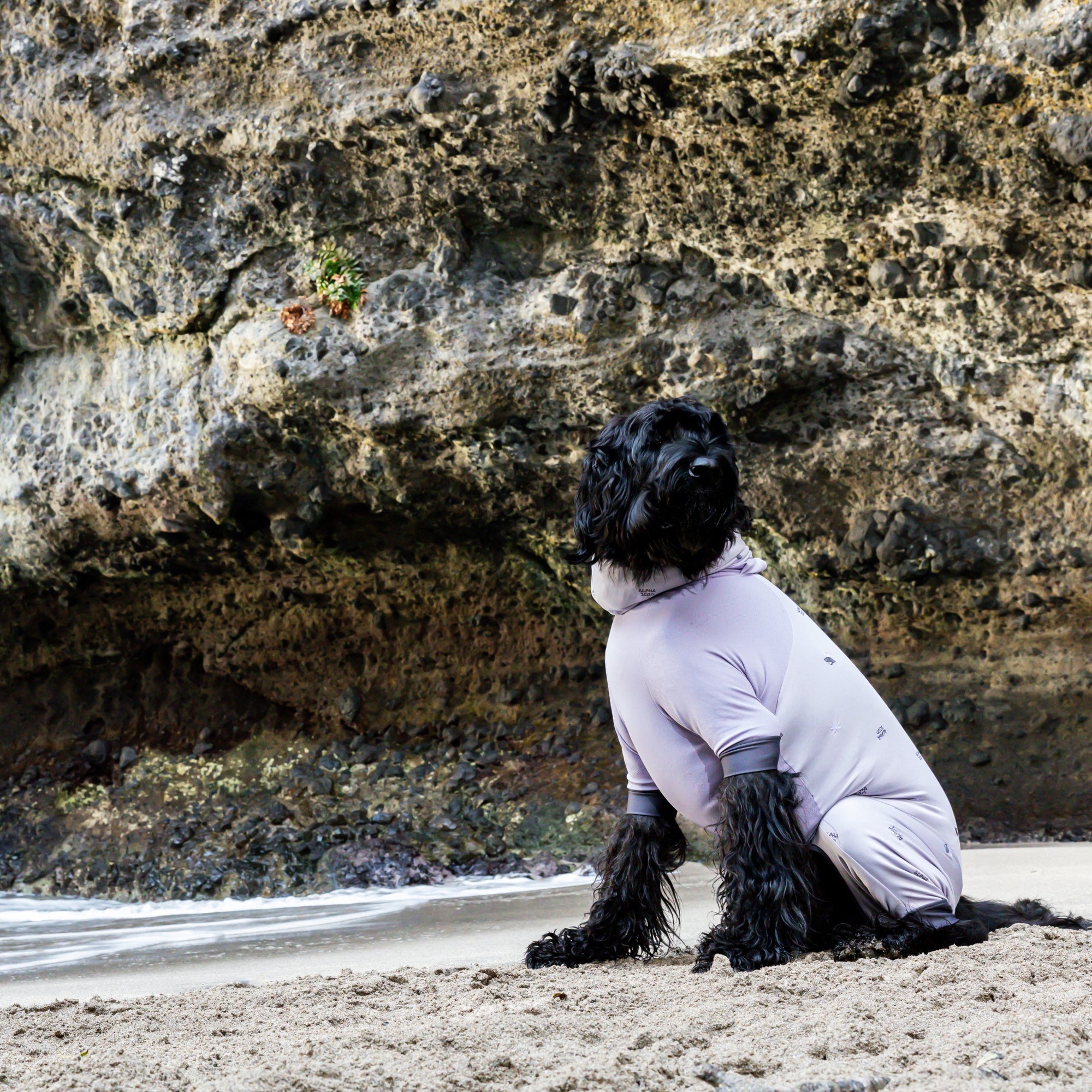 DOG GUARD COOL　ドッグガードクール　ORBIT