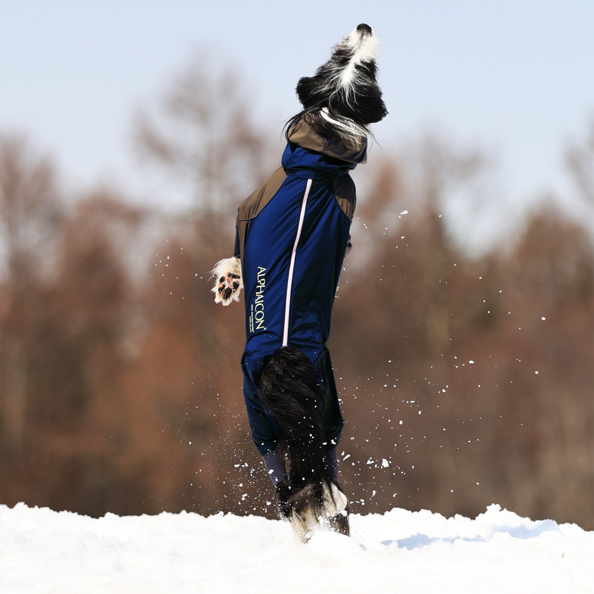 SNOW DOG GUARD RETRO SKI