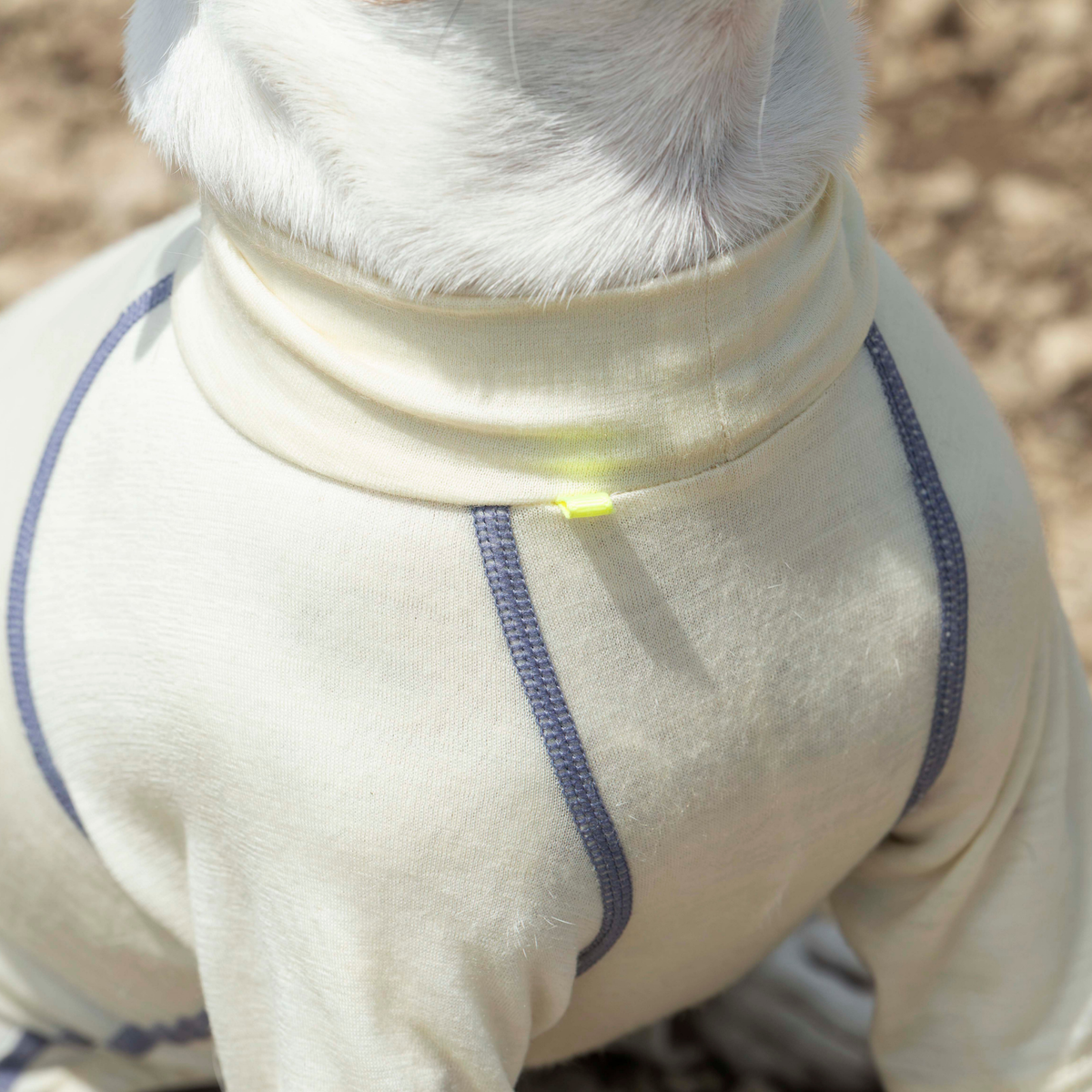 DOG GUARD BASE ドッグガードベース SHEEP