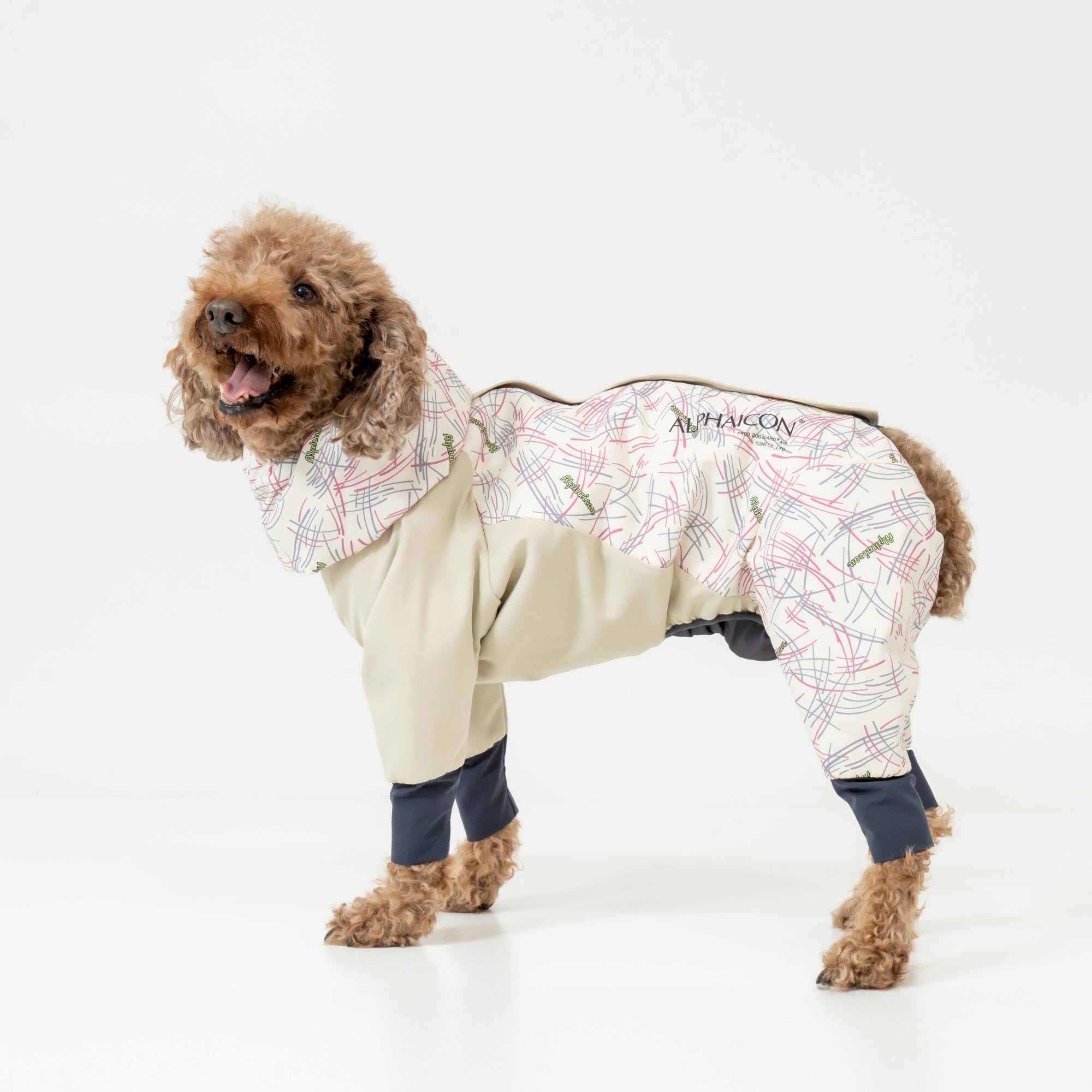 【抽選販売】DOG GUARD AIR　ドッグガード・エア　FEATHER×GALAH