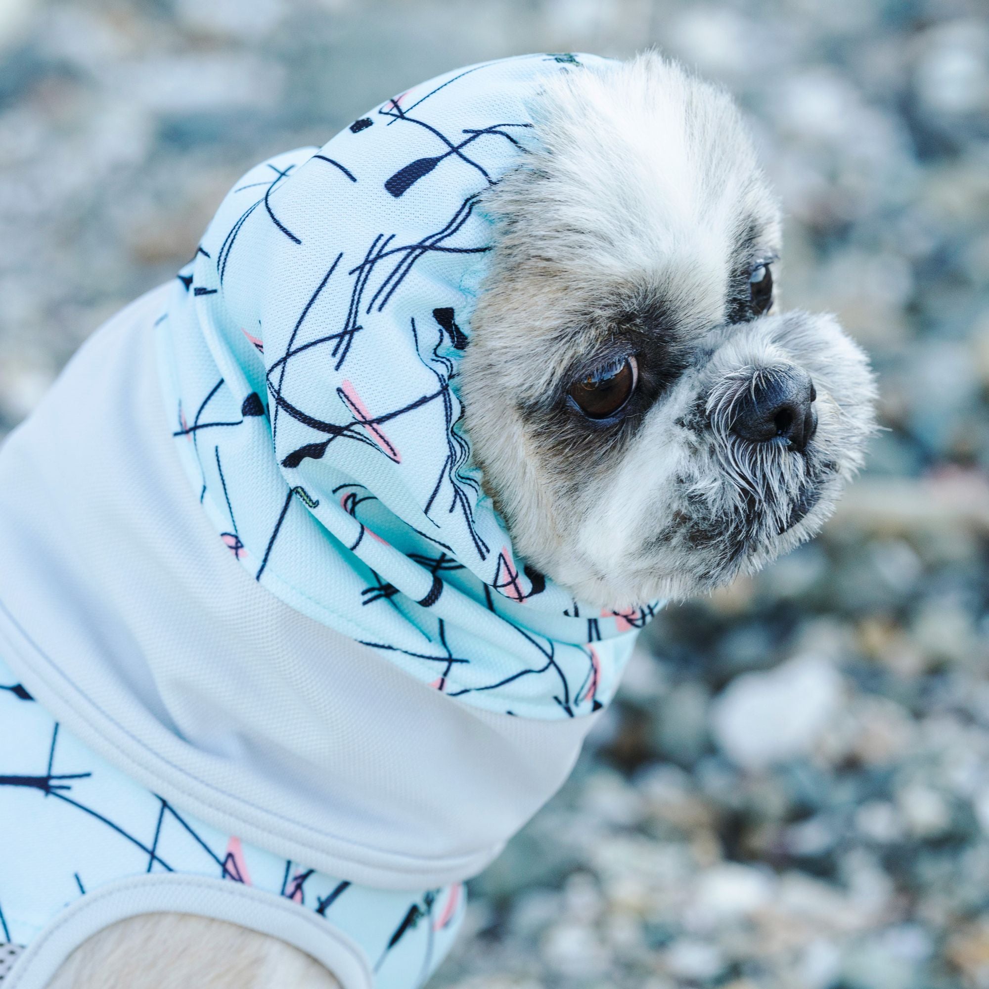 COOL SNOOD　クールスヌード　EDDY