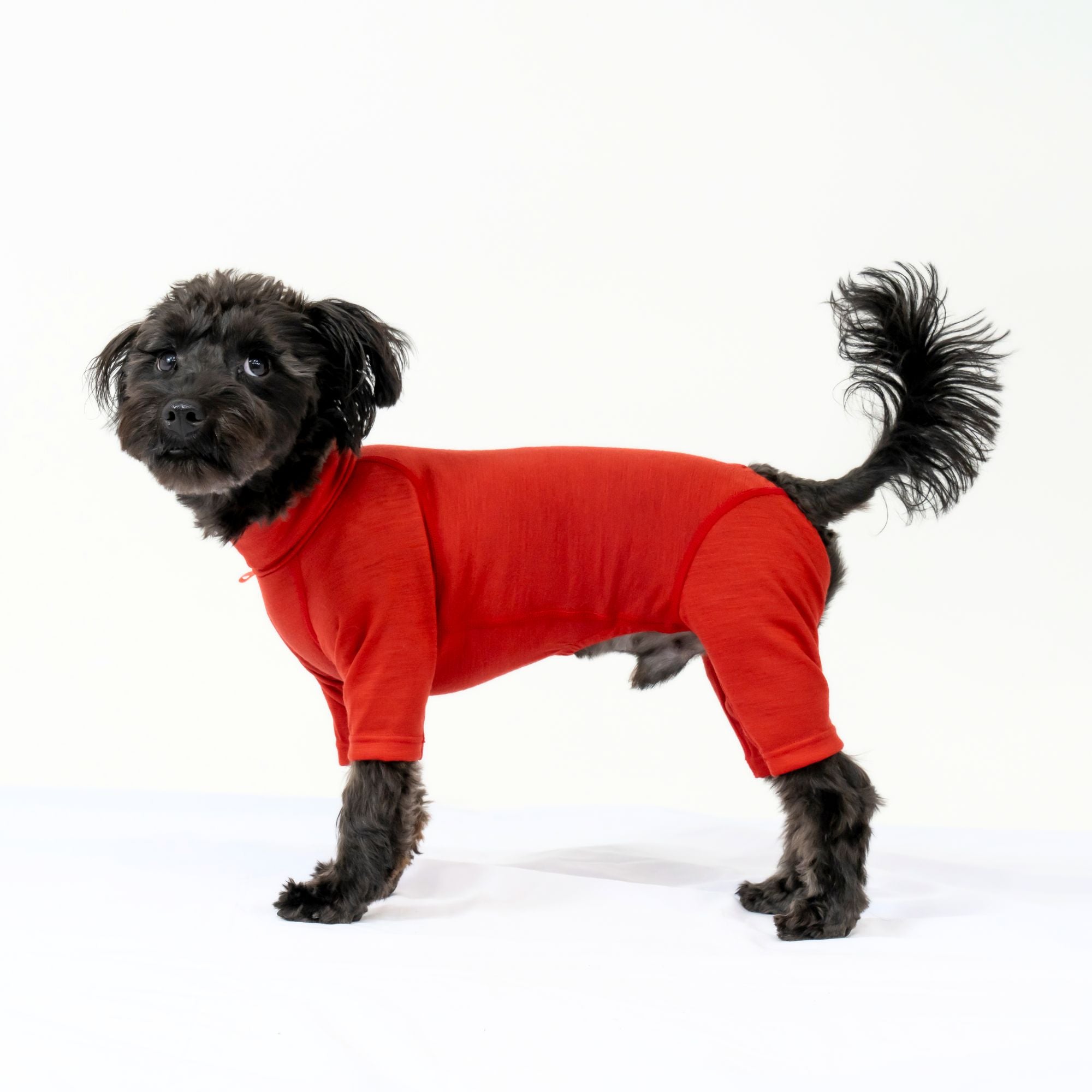 【抽選販売】DOG GUARD BASE　ドッグガードベース　VINTAGE RED　
