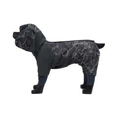 【抽選販売】DOG GUARD AIR　ドッグガード・エア　COSMOS×MINT