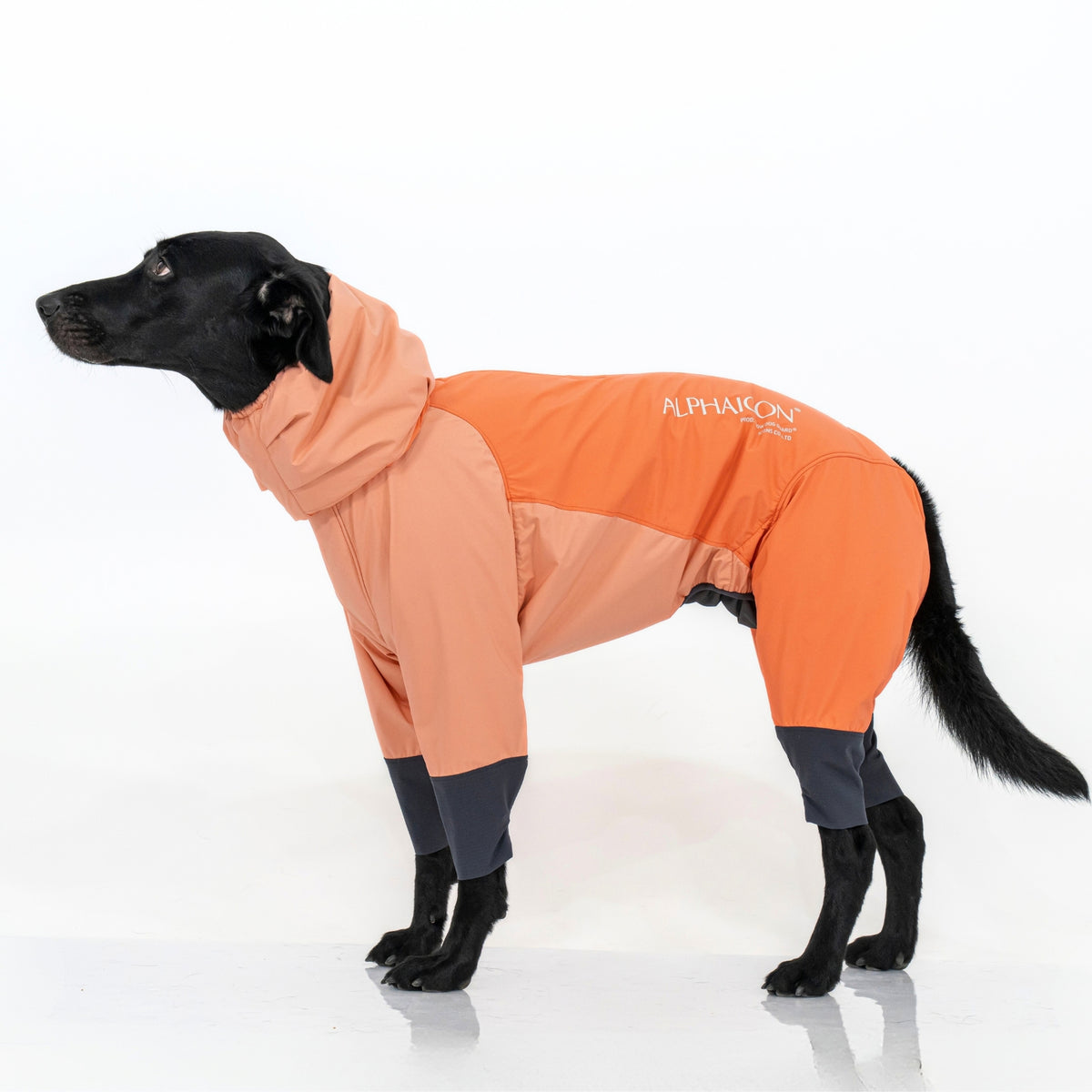 SNOW DOG GUARD スノードッグガード ROSE MIST